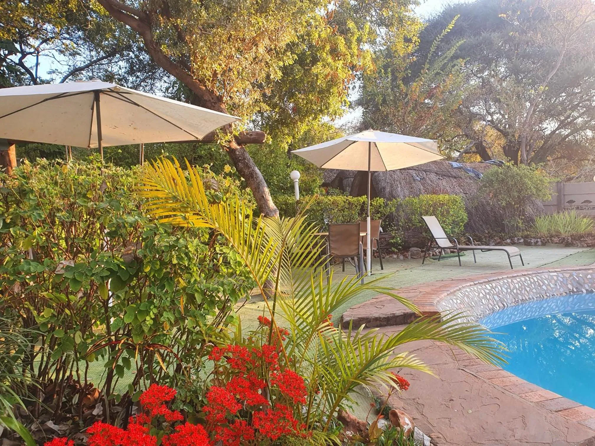 Swimming pool in Victoria Falls Backpackers Lodge