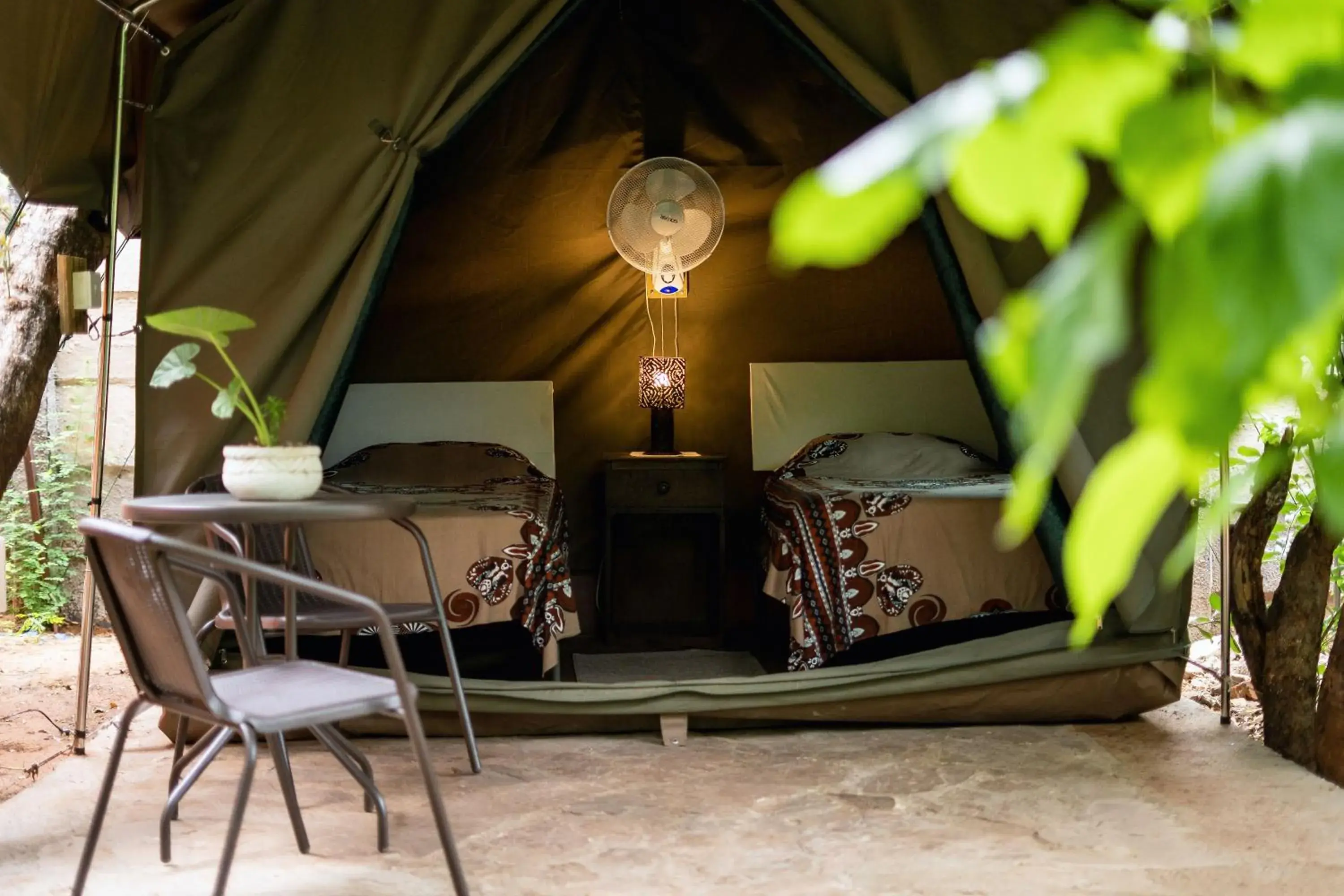 Tent in Victoria Falls Backpackers Lodge Tent in Victoria Falls Backpackers Lodge