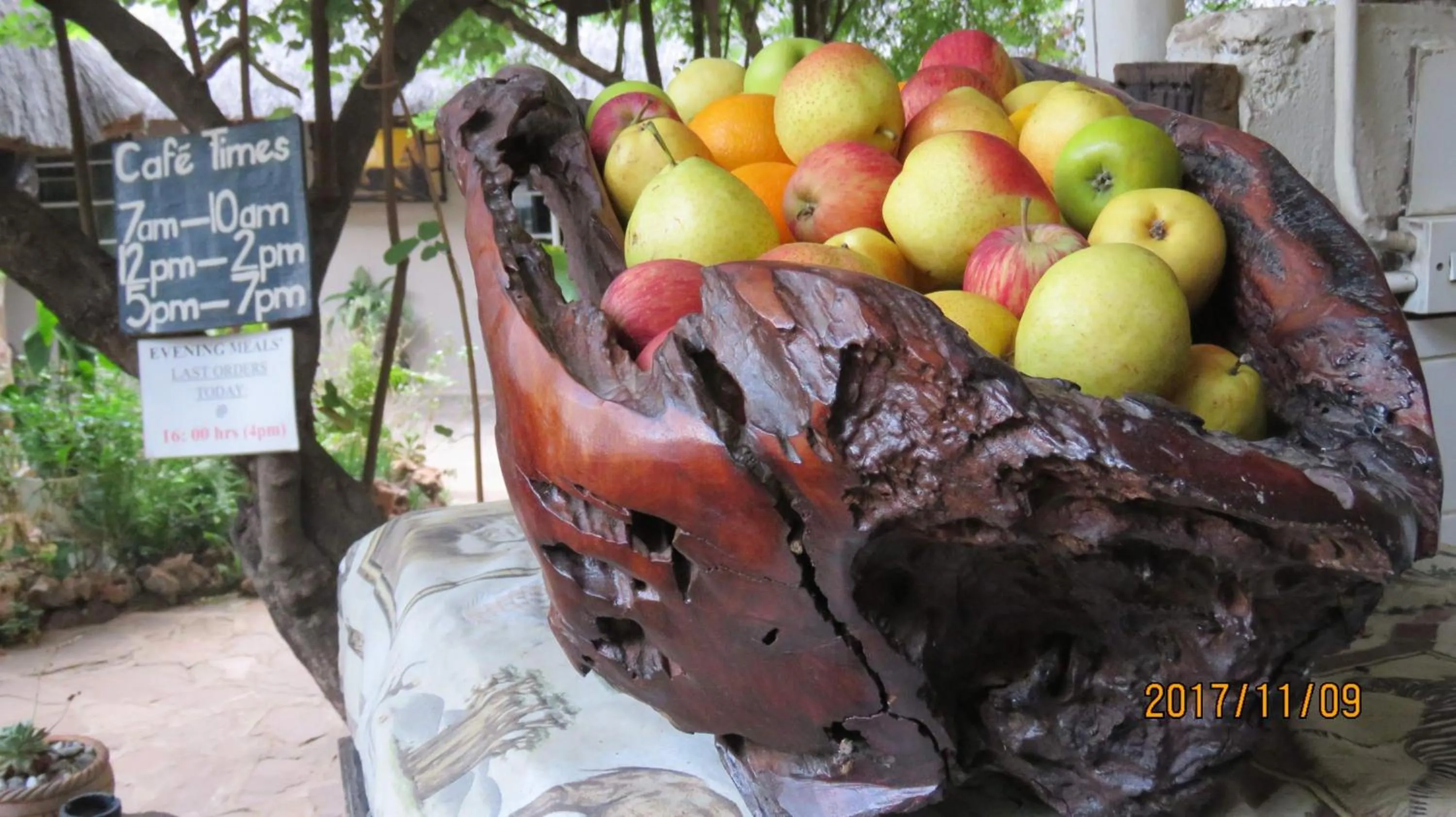 Restaurant/places to eat in Victoria Falls Backpackers Lodge