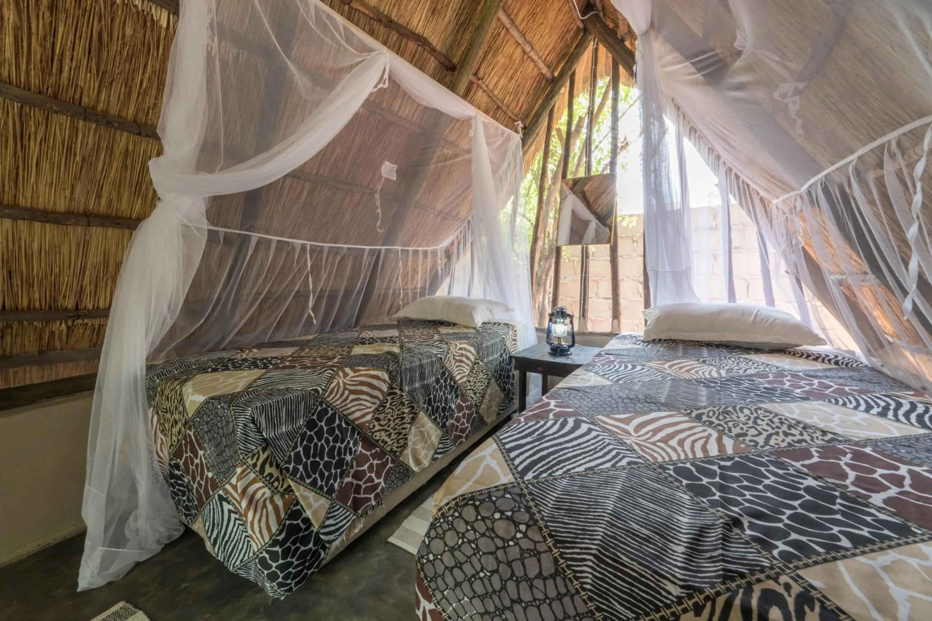Photo of the whole room, Bed in Victoria Falls Backpackers Lodge