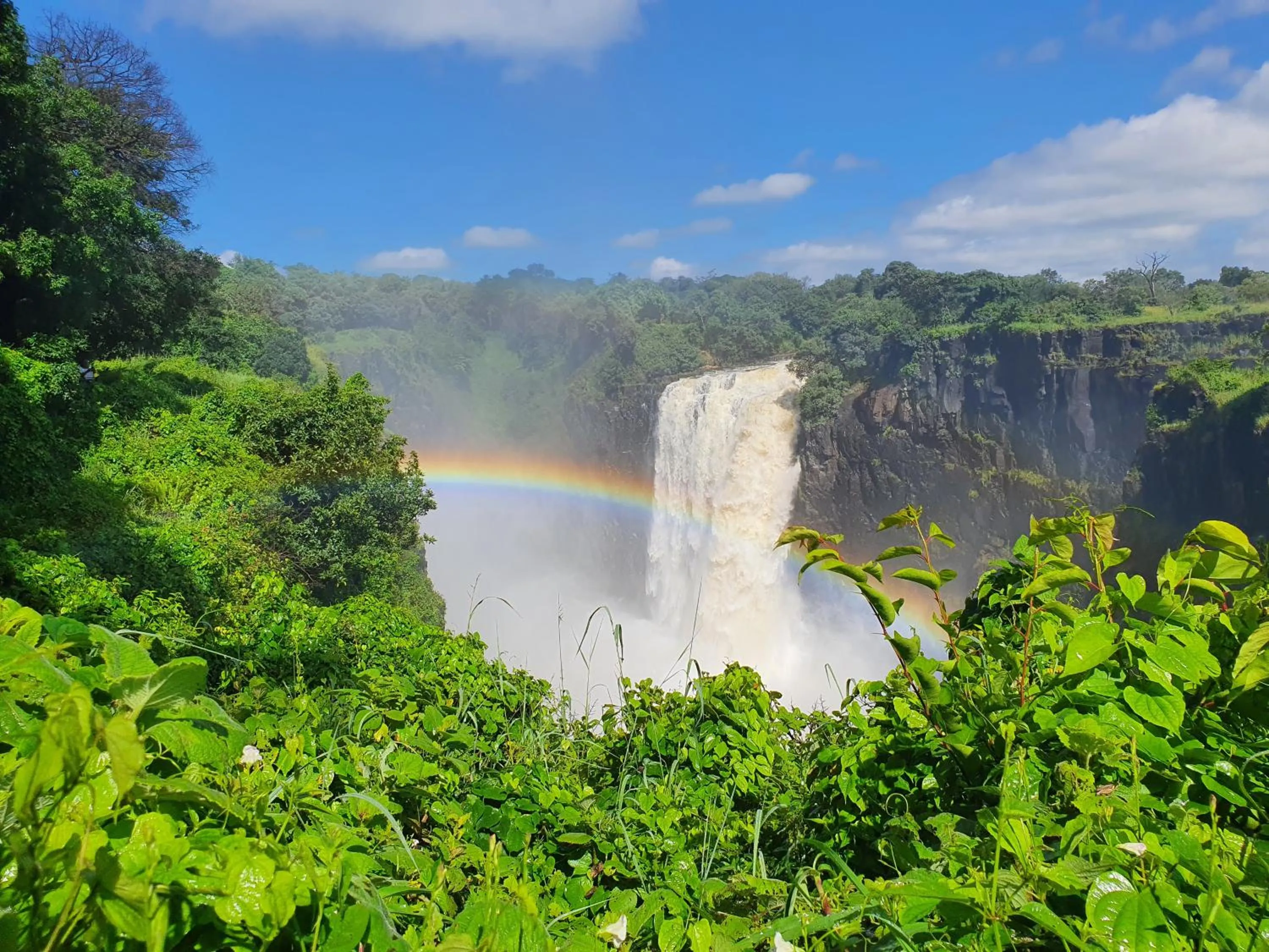 Restaurant/places to eat in Victoria Falls Backpackers Lodge