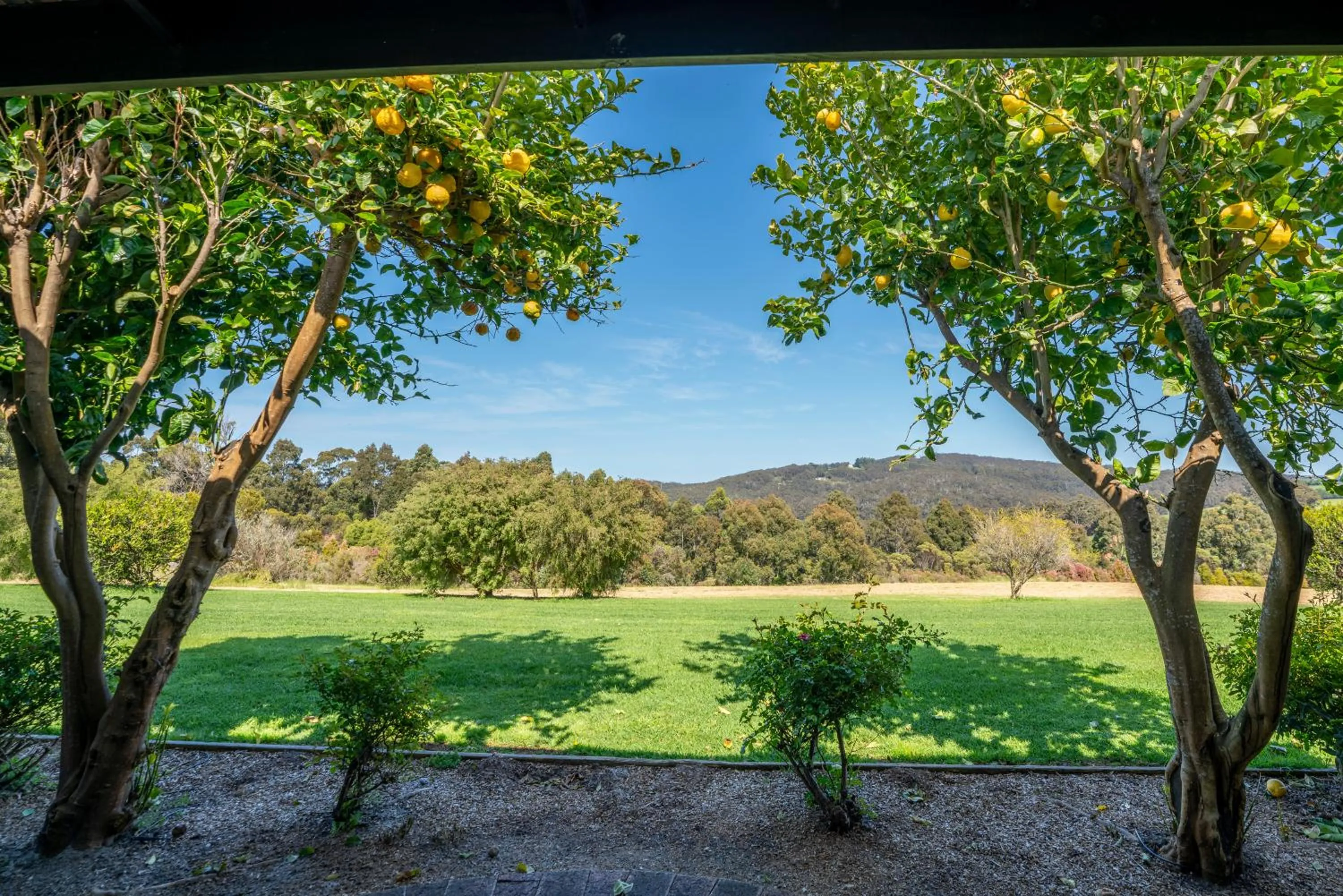 View (from property/room) in Denmark Scenic Tourist Park