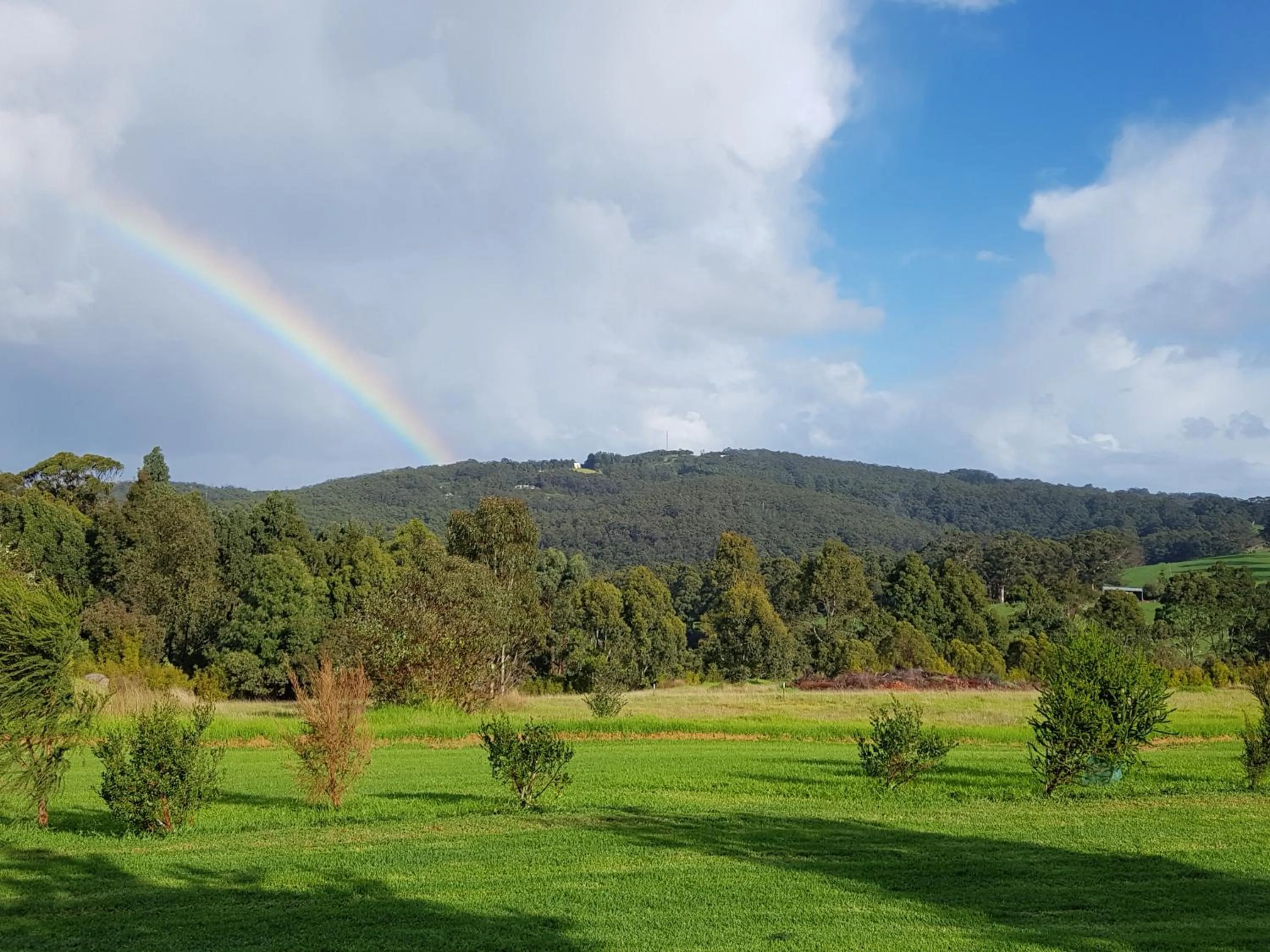 Mountain view in Denmark Scenic Tourist Park