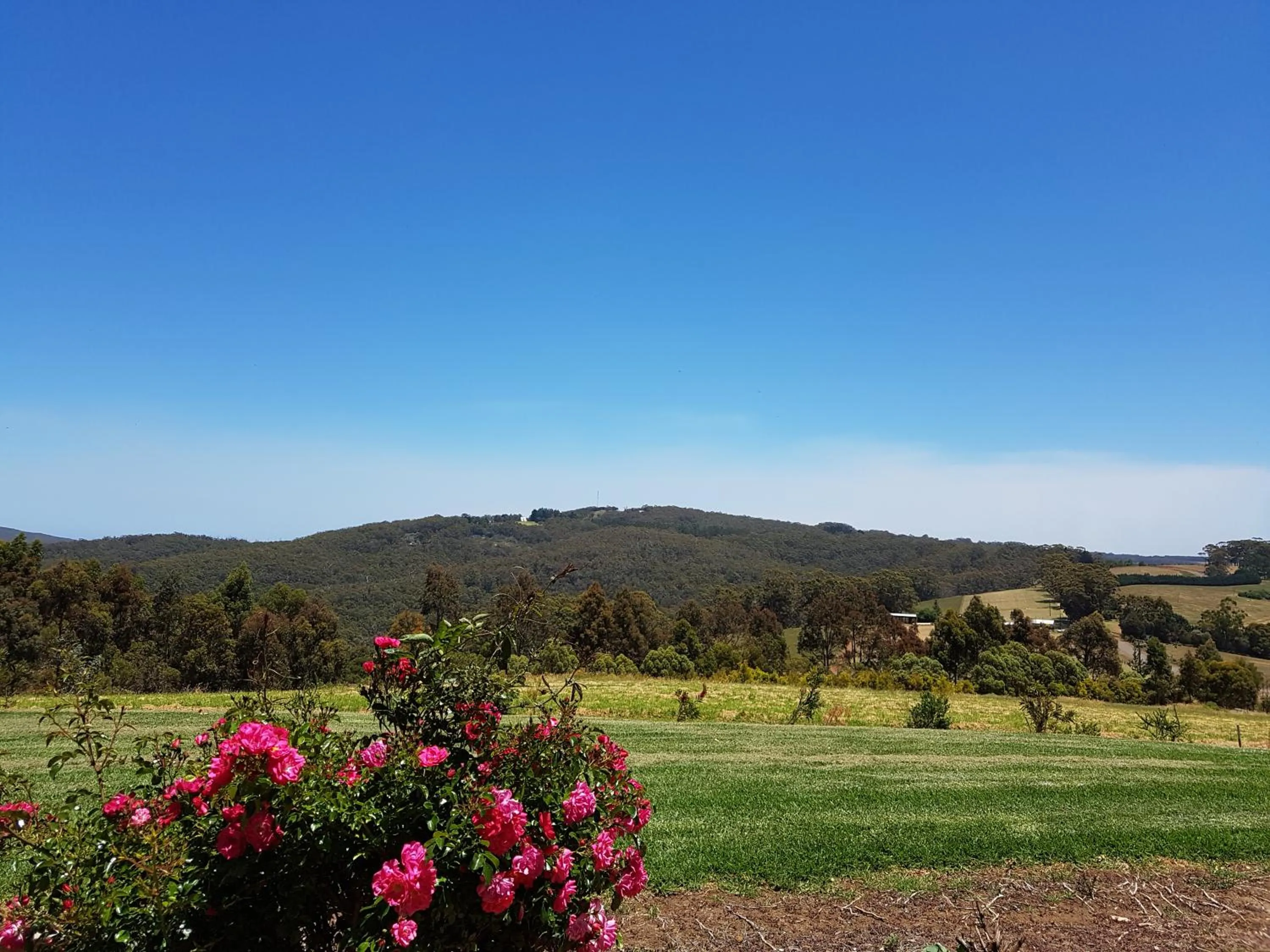 Mountain view in Denmark Scenic Tourist Park