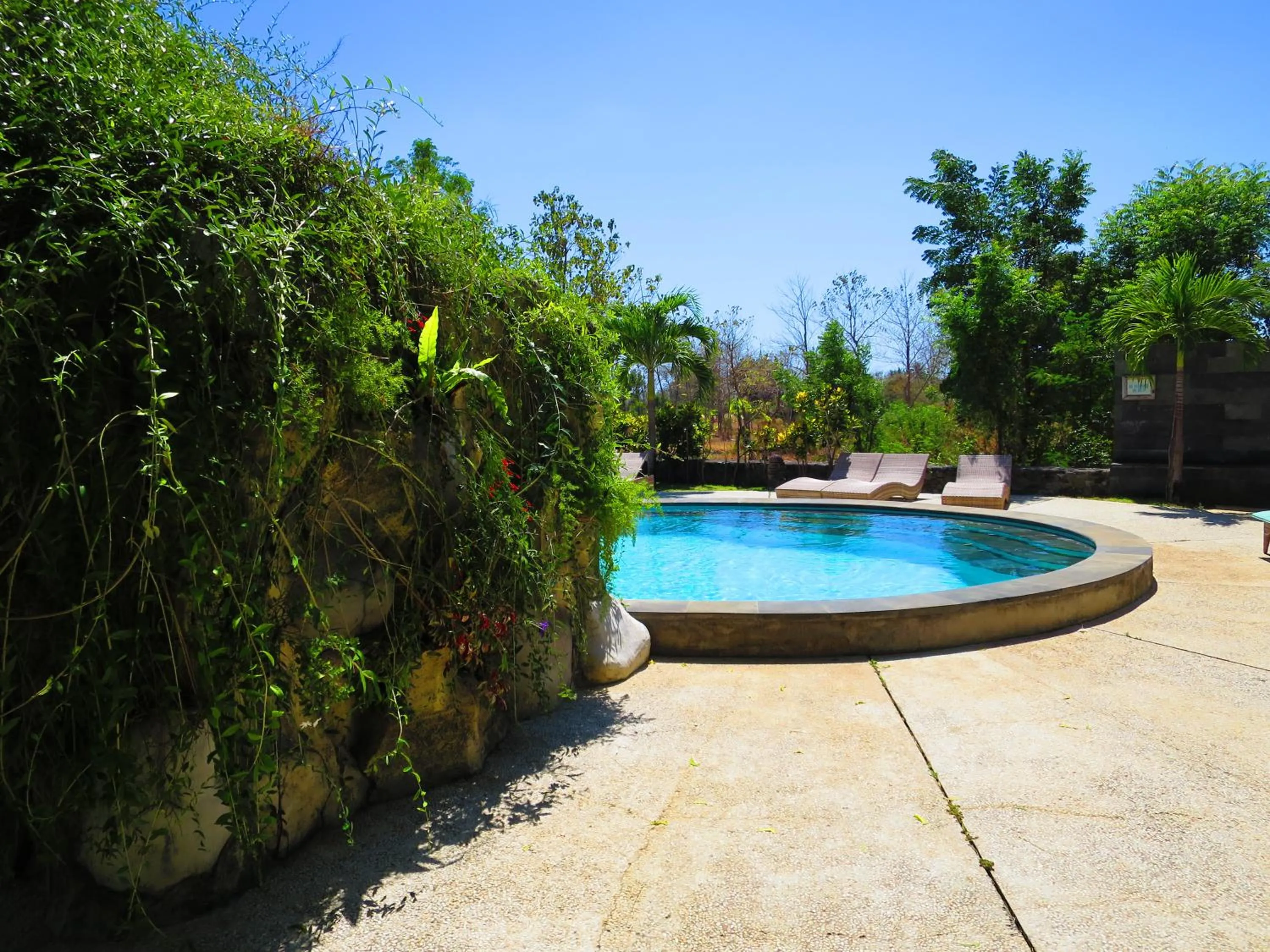 Swimming pool in Bunga Laut Bungalow