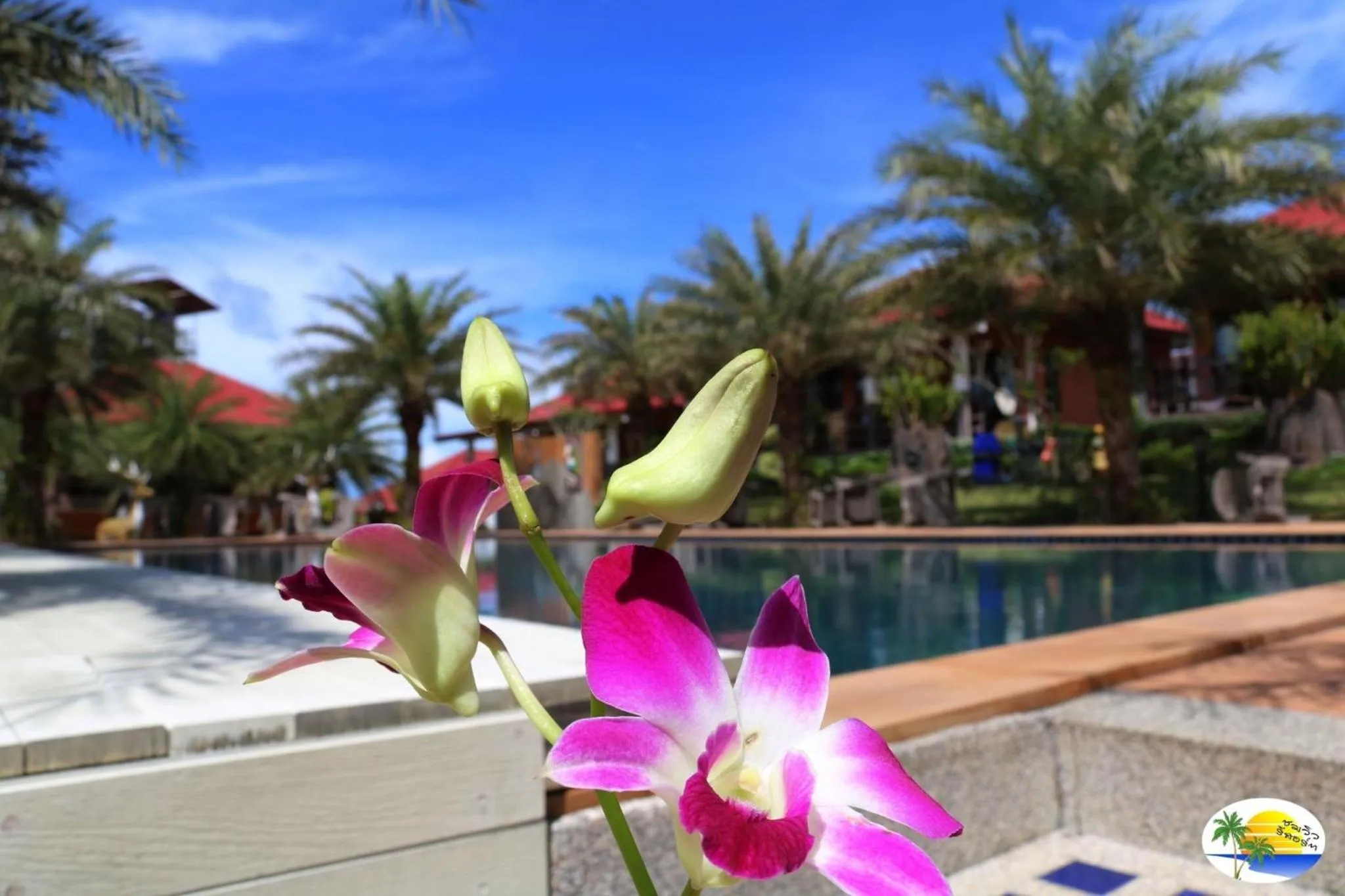 Swimming pool in Chomview Resort