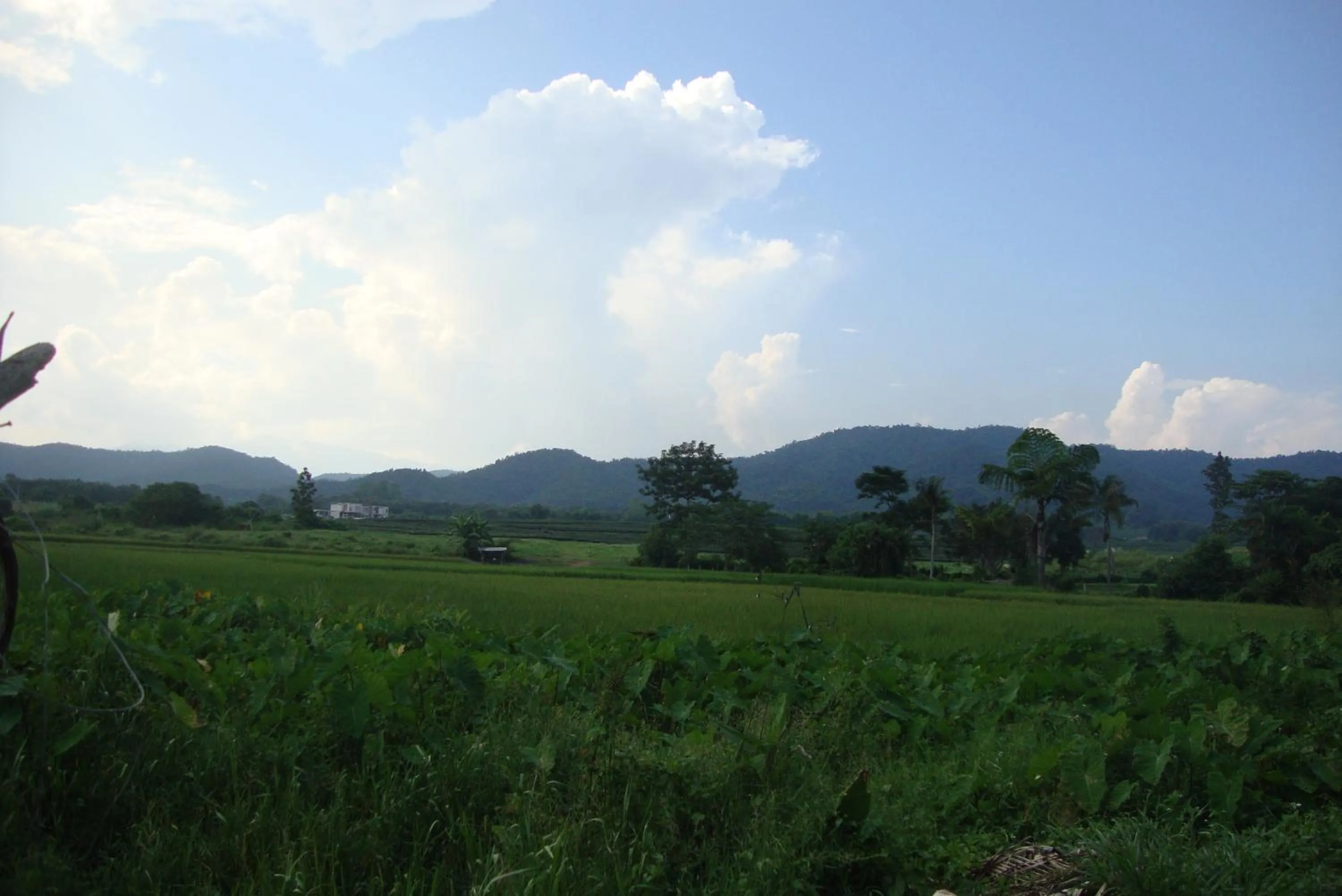 Mountain view in Baan Suan Jantra Home Stay