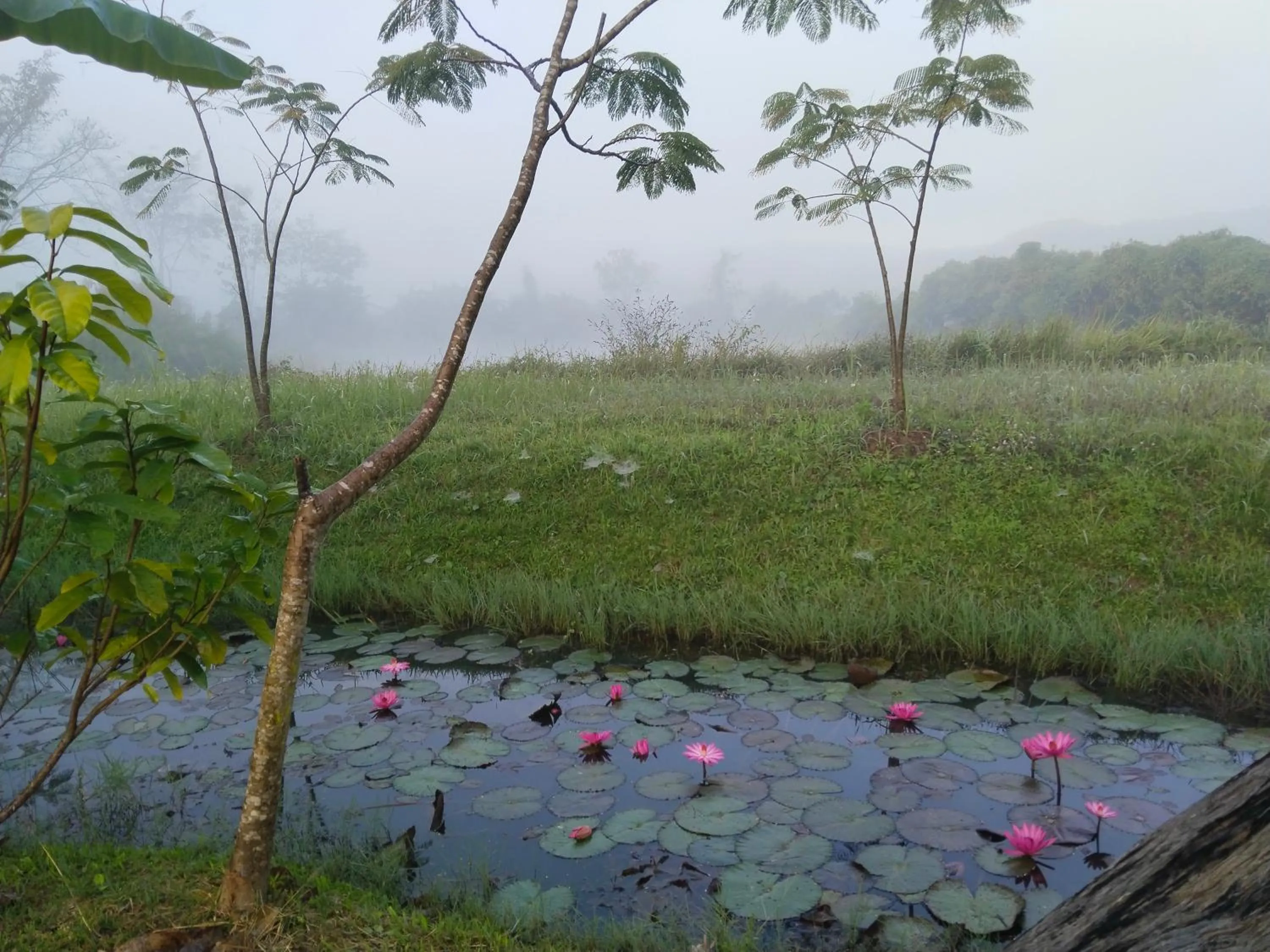 Baan Suan Jantra Home Stay