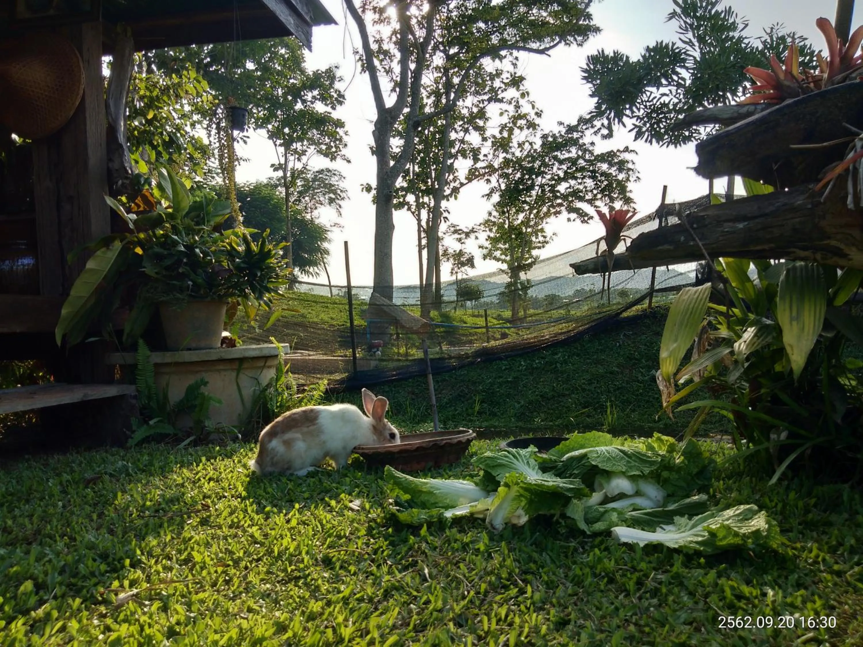 Baan Suan Jantra Home Stay