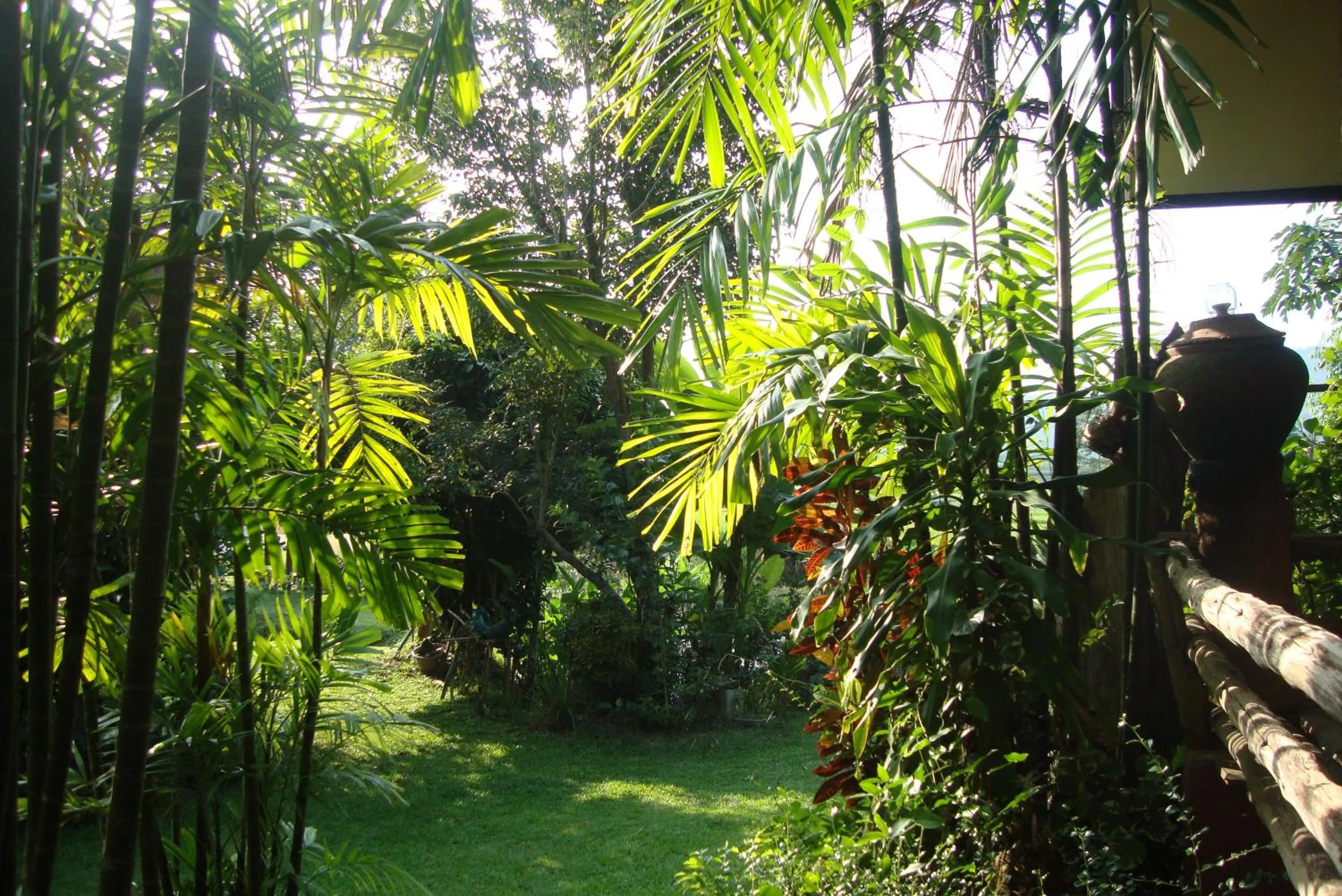 Garden in Baan Suan Jantra Home Stay
