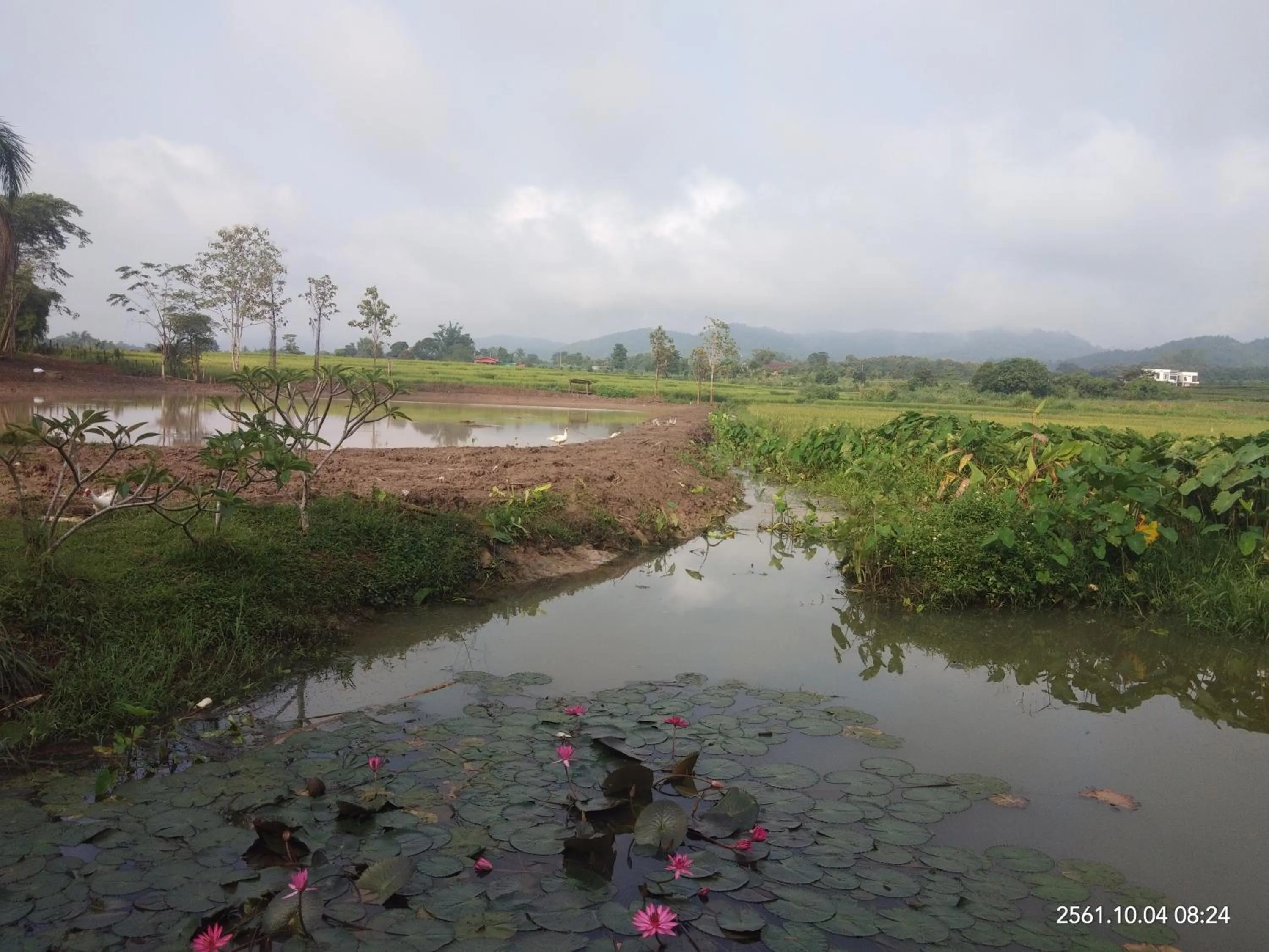 Baan Suan Jantra Home Stay