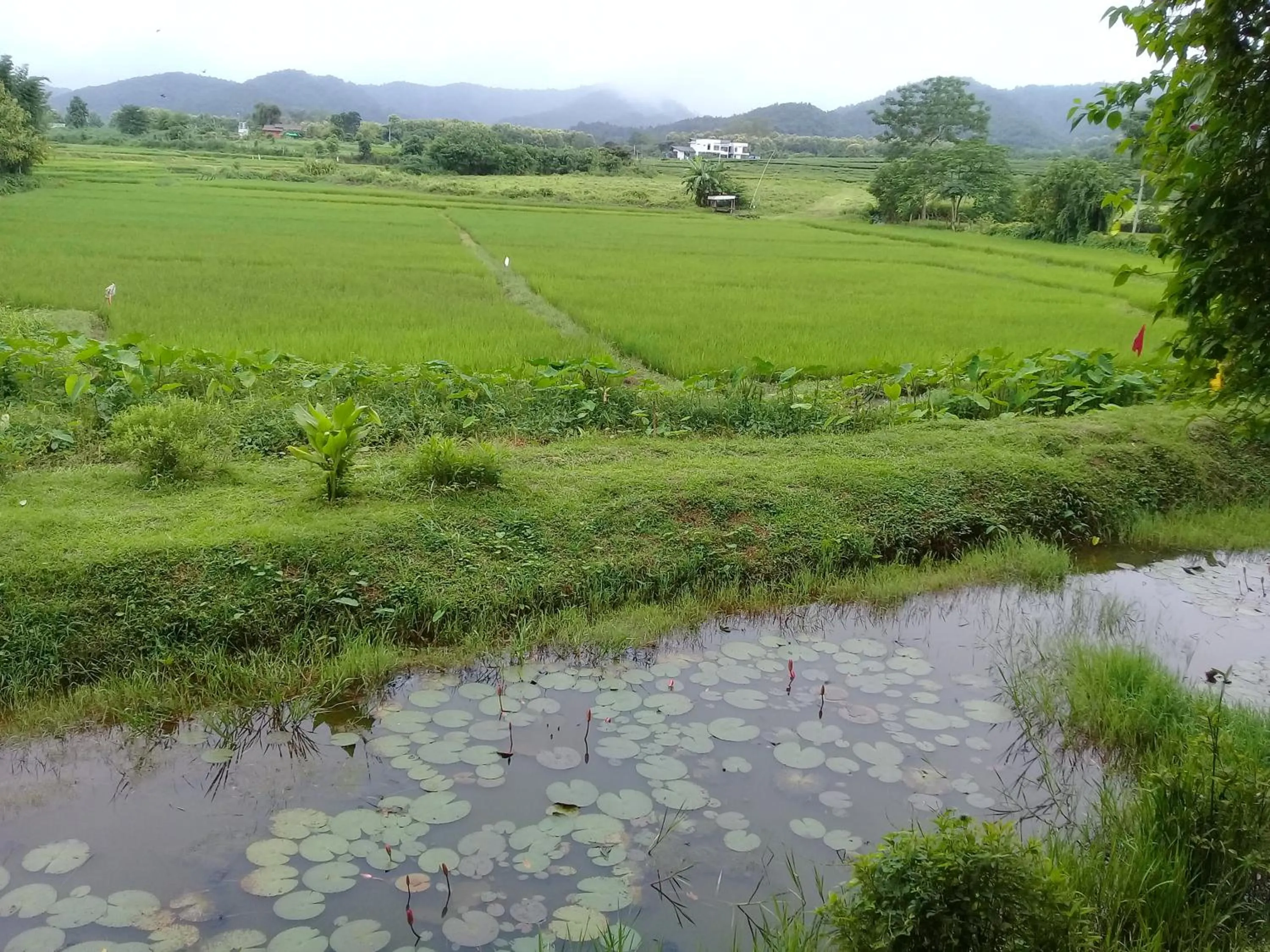 Baan Suan Jantra Home Stay