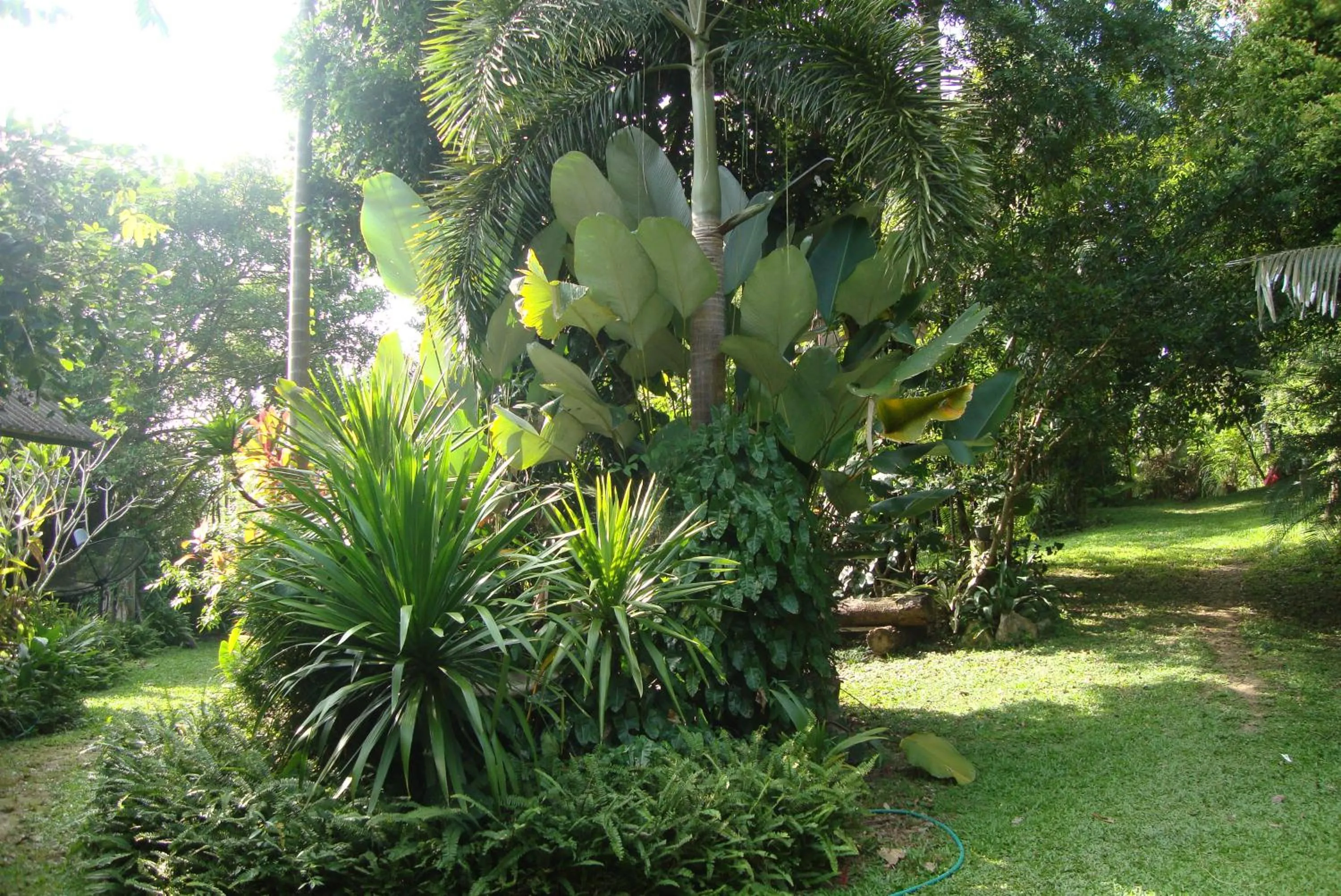 Garden in Baan Suan Jantra Home Stay