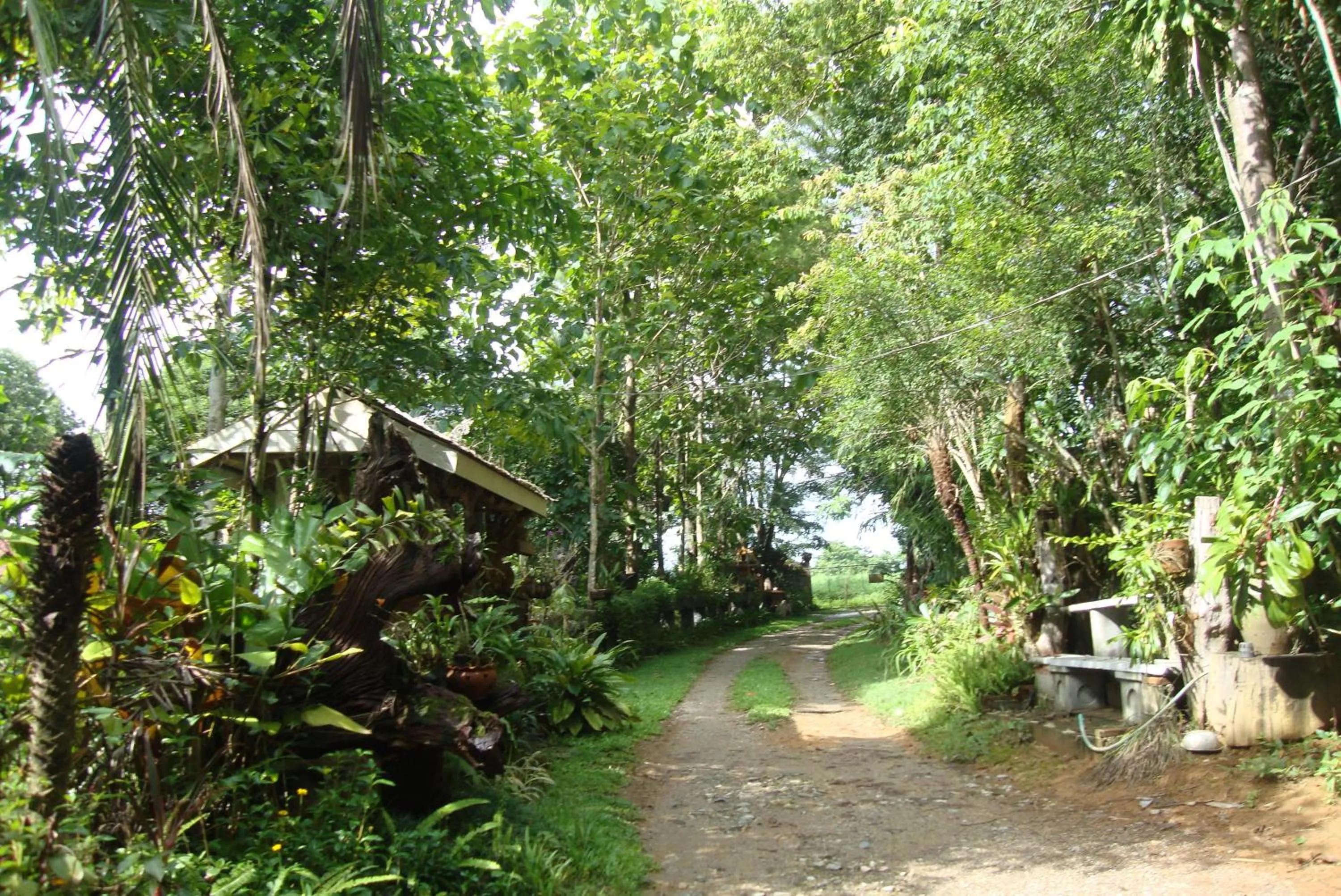 Facade/entrance in Baan Suan Jantra Home Stay