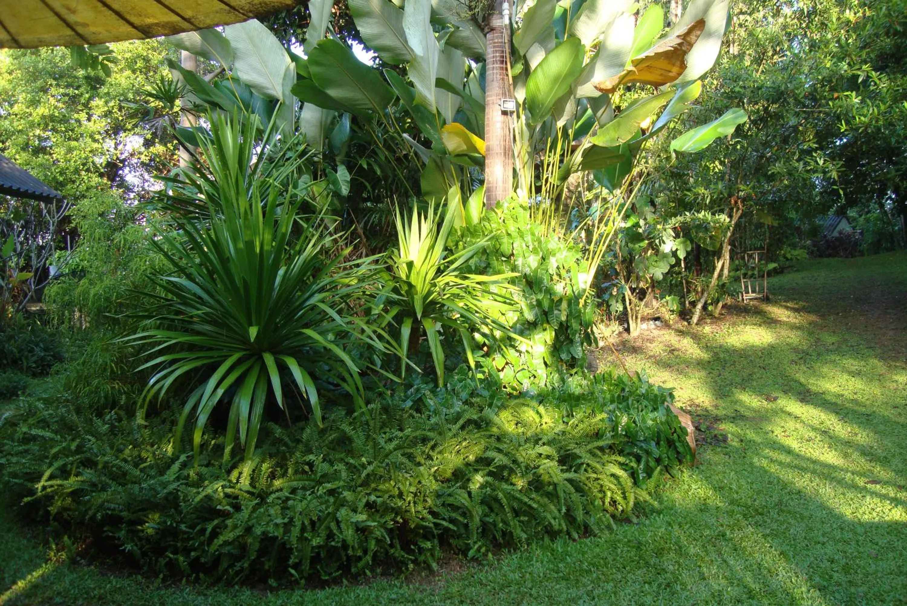Spring in Baan Suan Jantra Home Stay