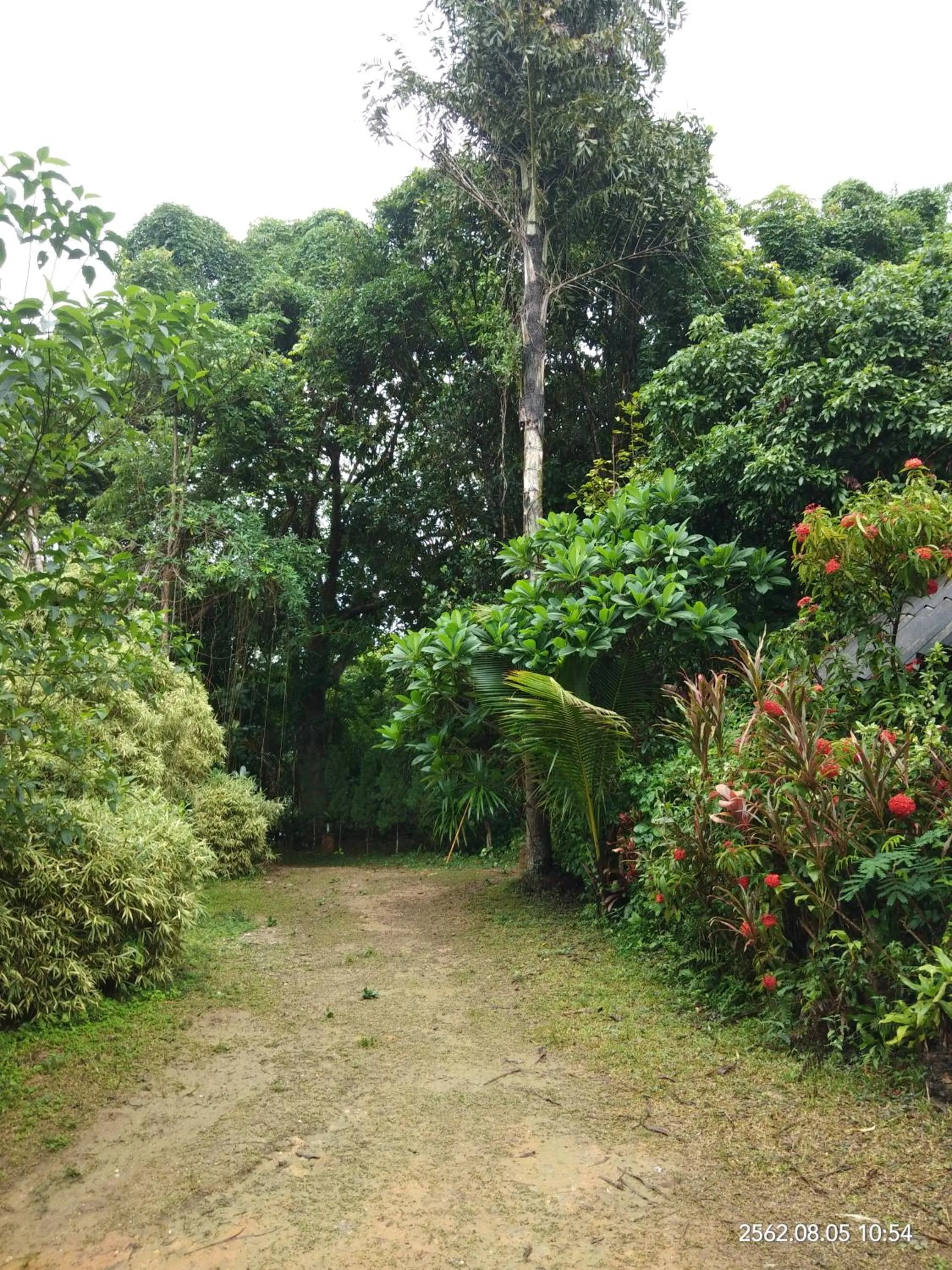 Baan Suan Jantra Home Stay