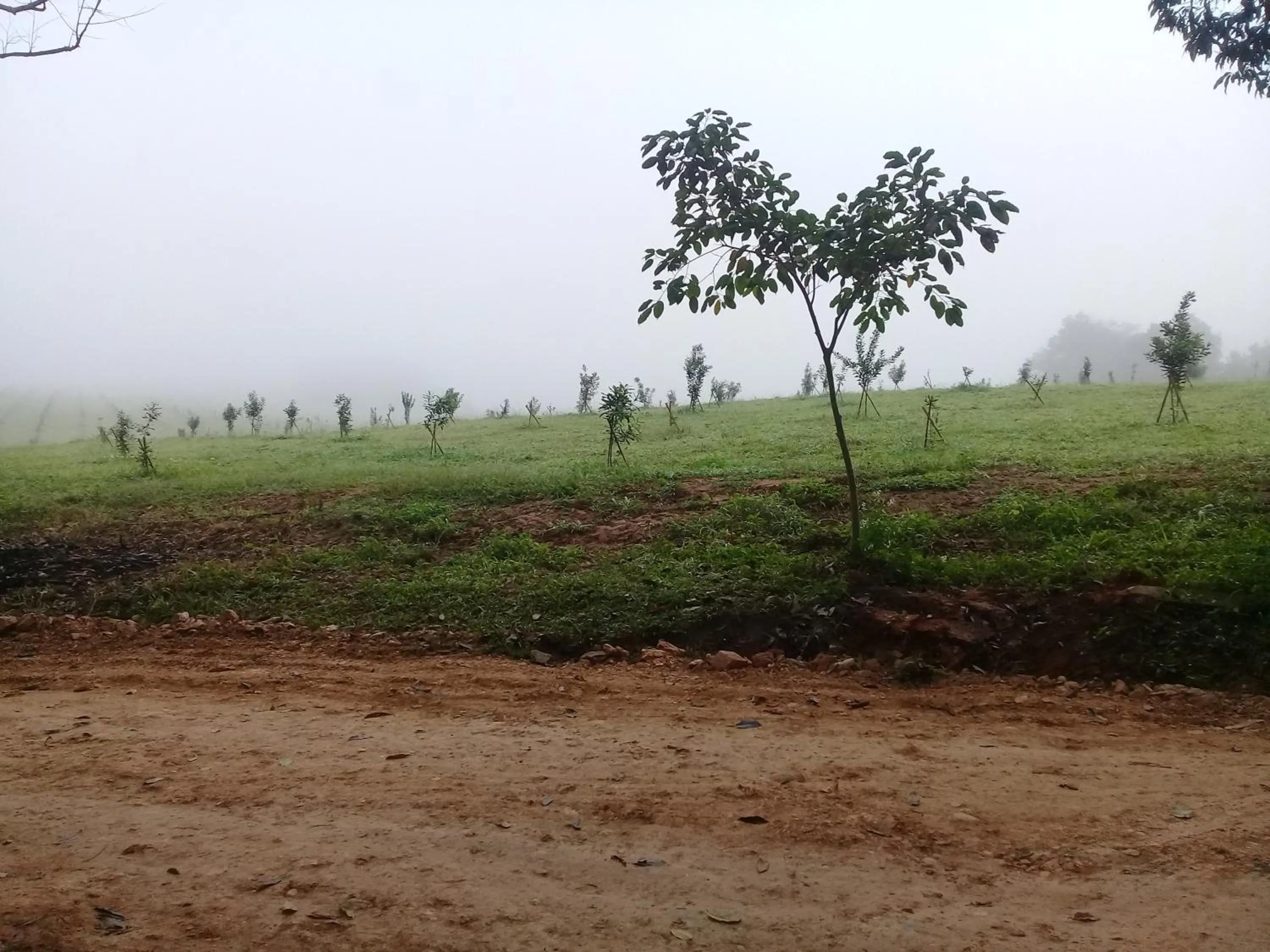 Baan Suan Jantra Home Stay