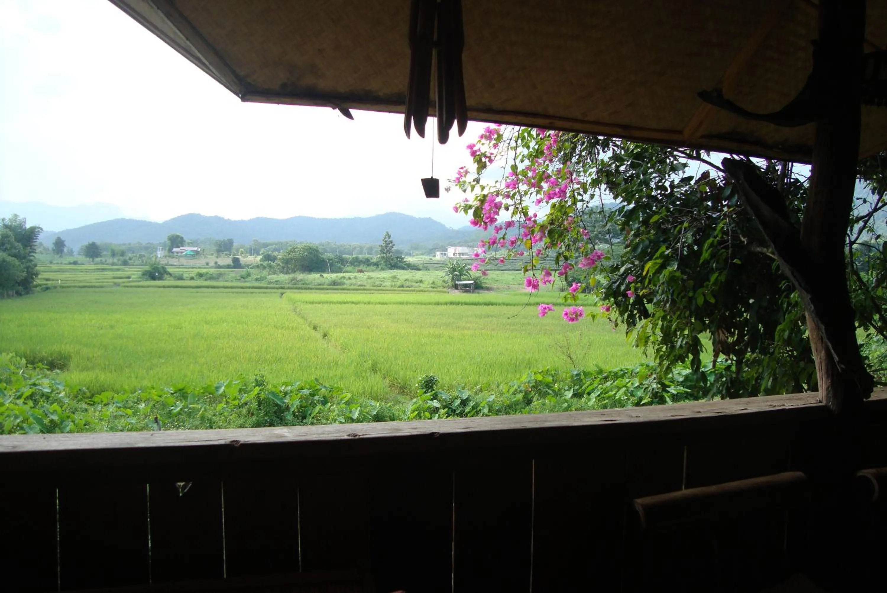 Mountain view in Baan Suan Jantra Home Stay