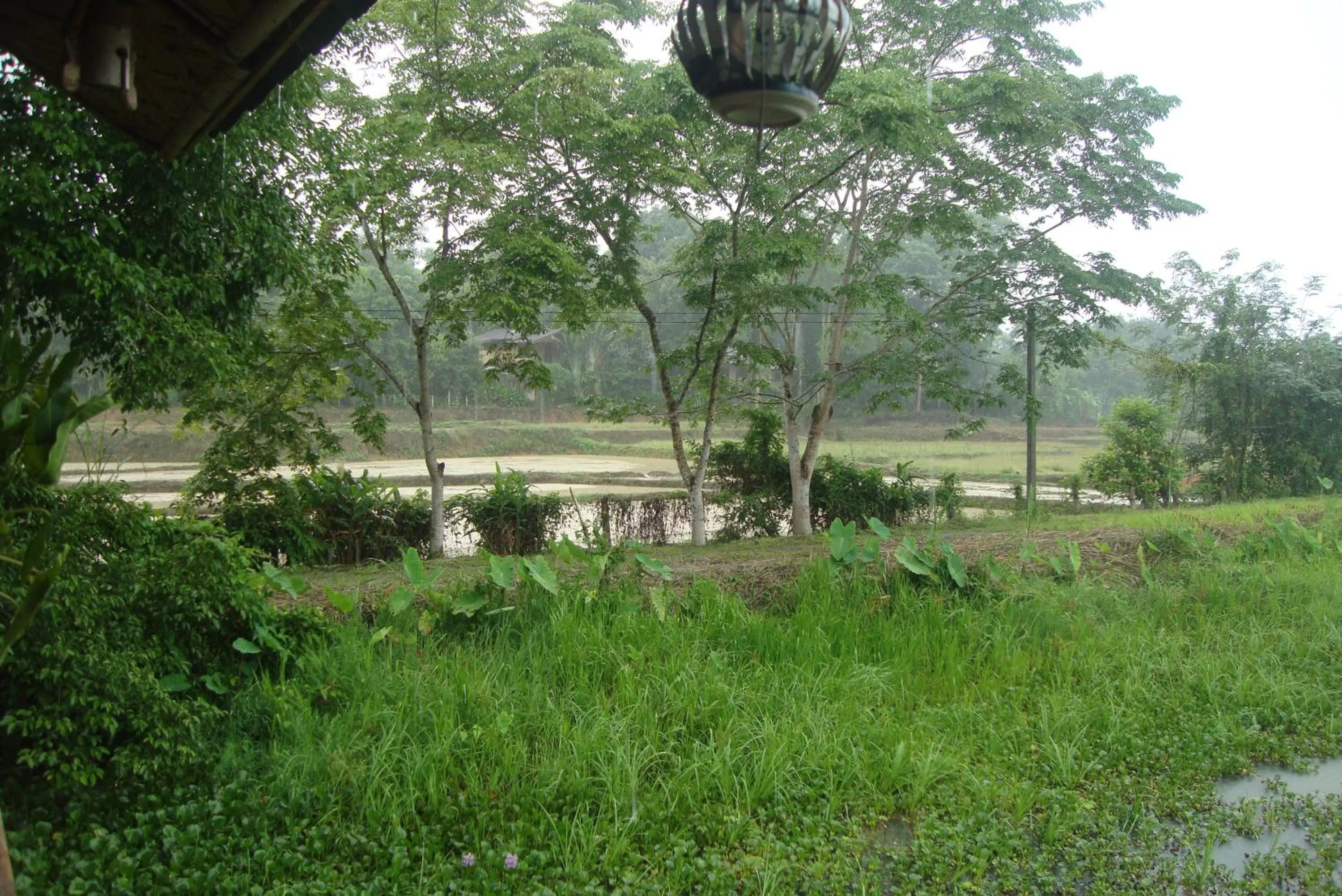 Spring in Baan Suan Jantra Home Stay