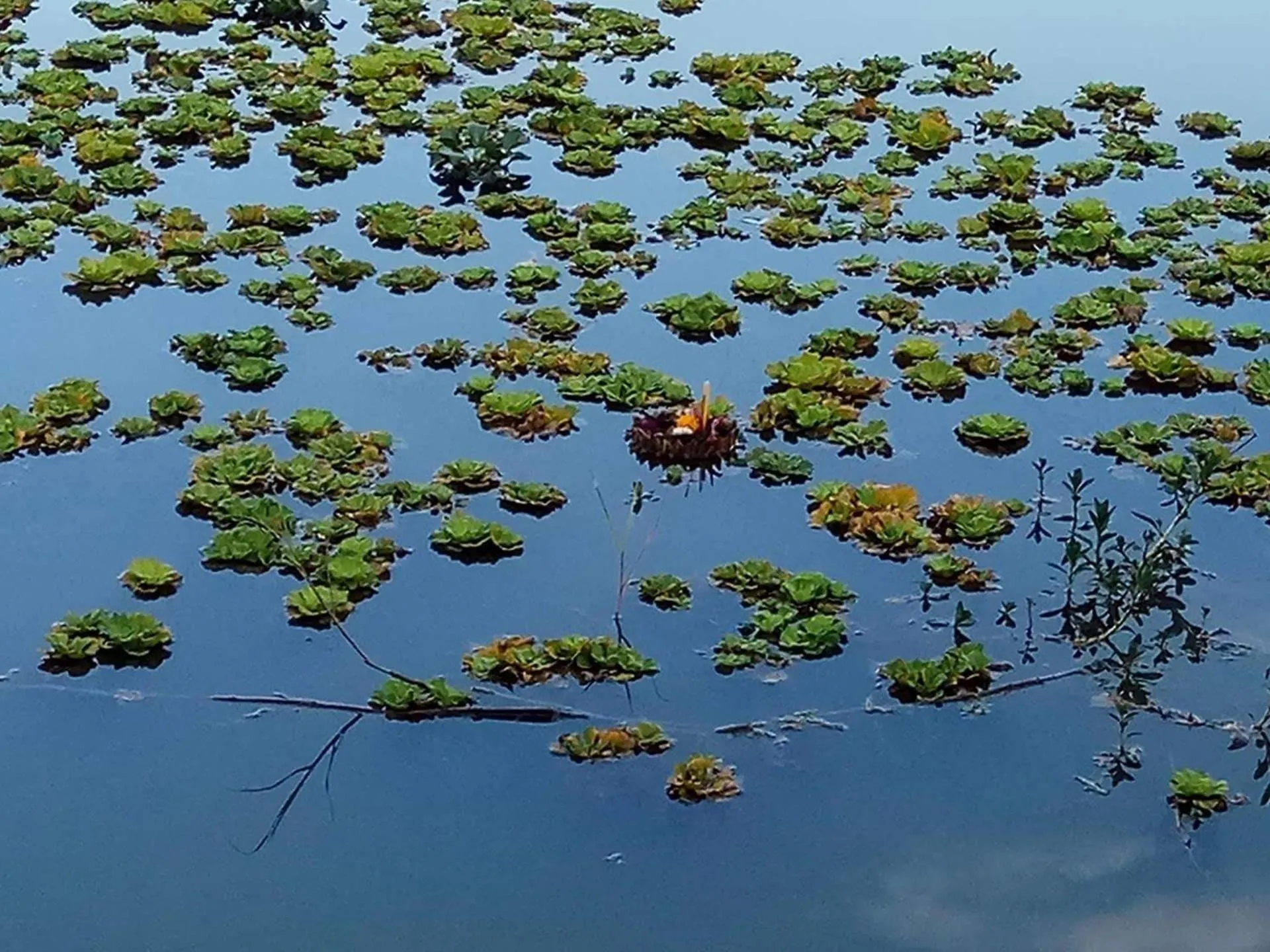 Baan Suan Jantra Home Stay