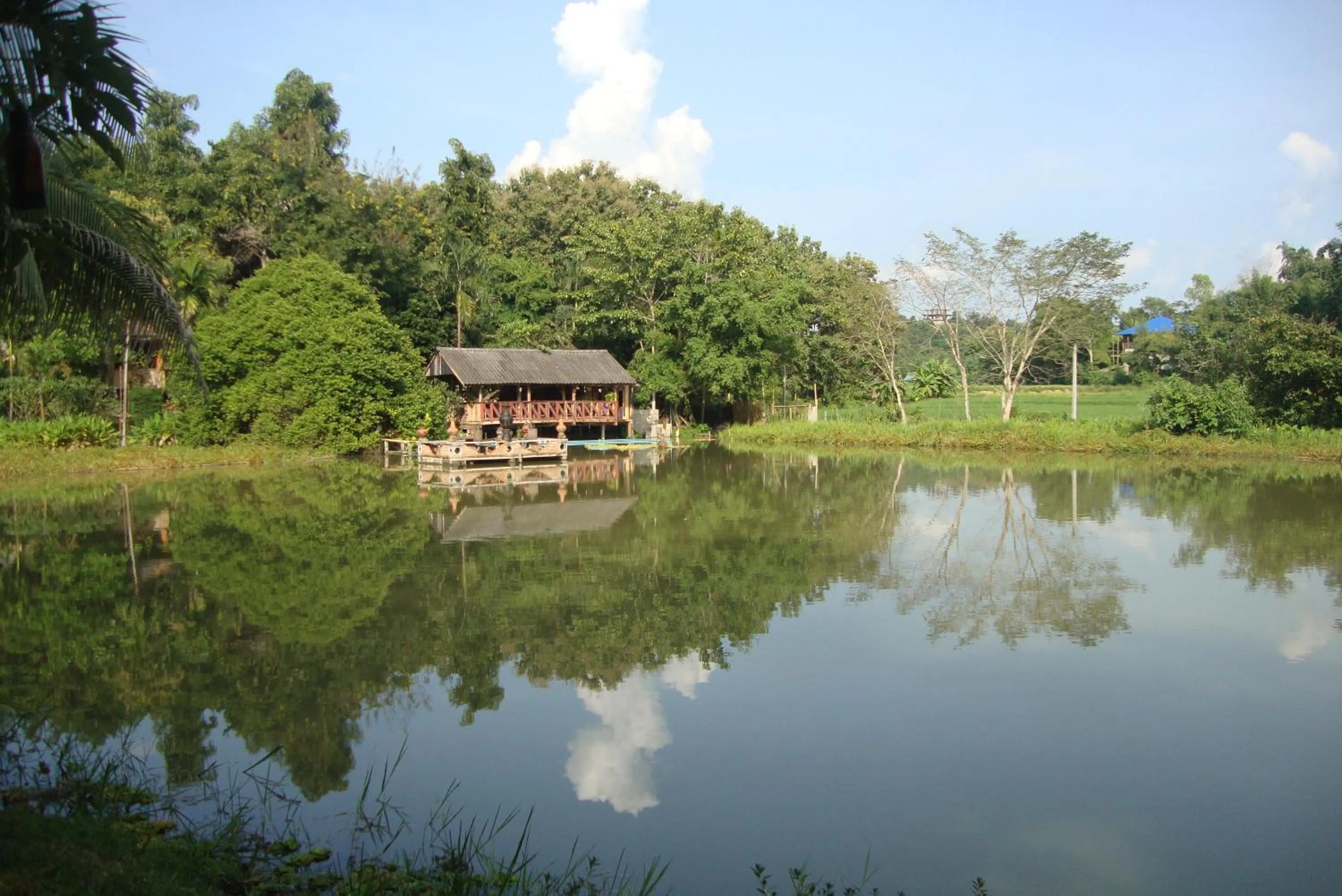 View (from property/room) in Baan Suan Jantra Home Stay