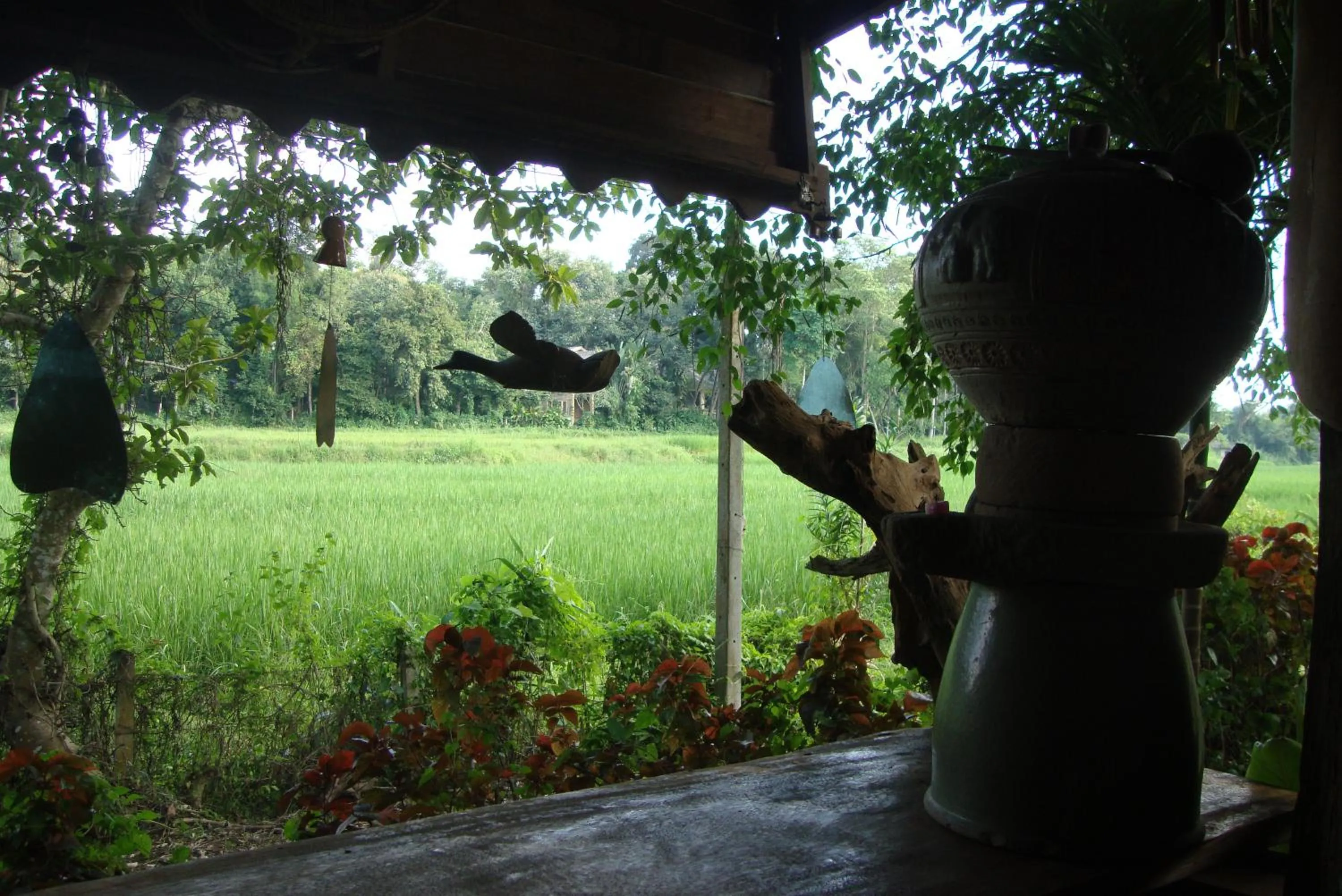 Library in Baan Suan Jantra Home Stay