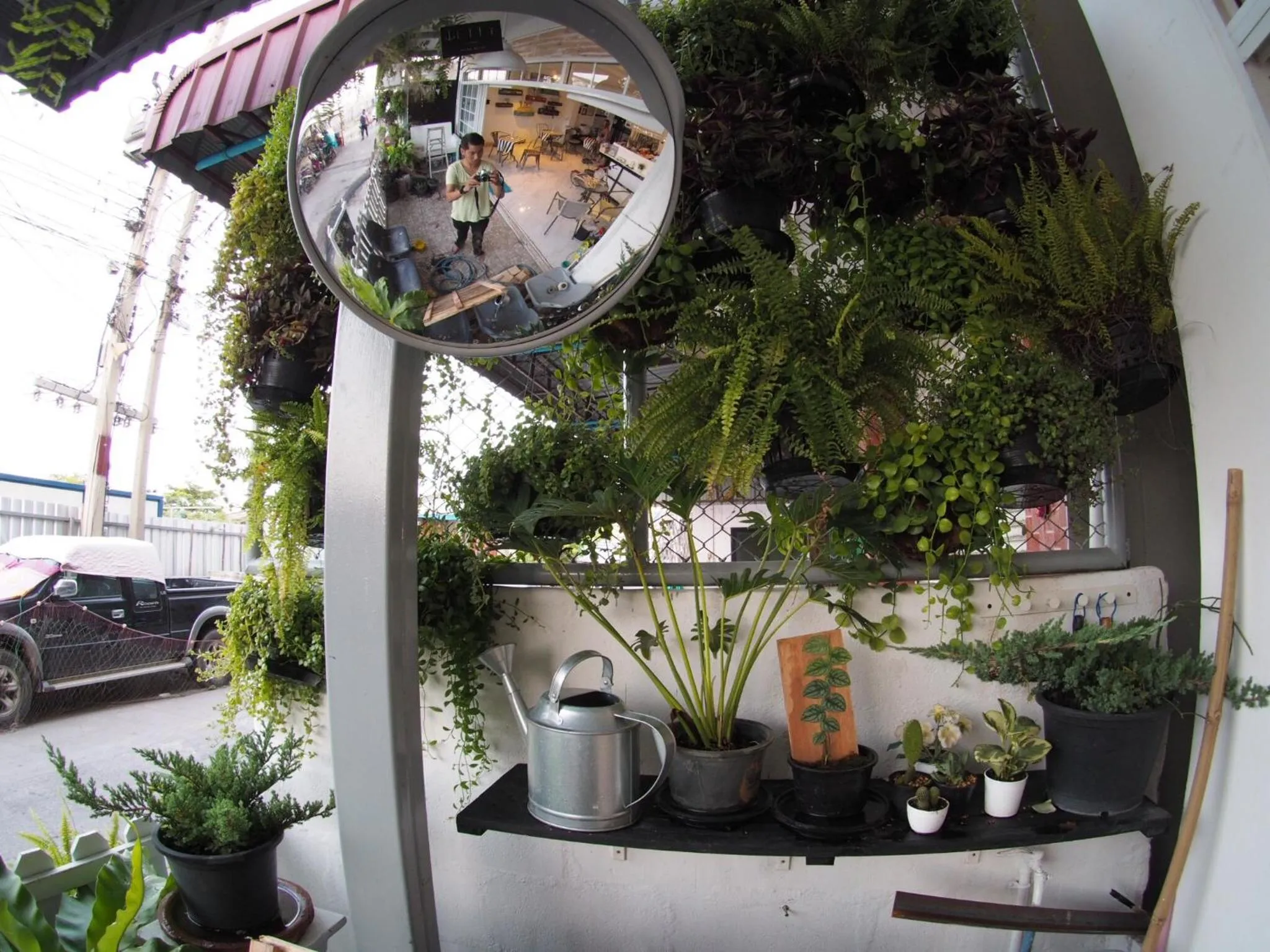 Garden view in Jetty Huahin Hostel