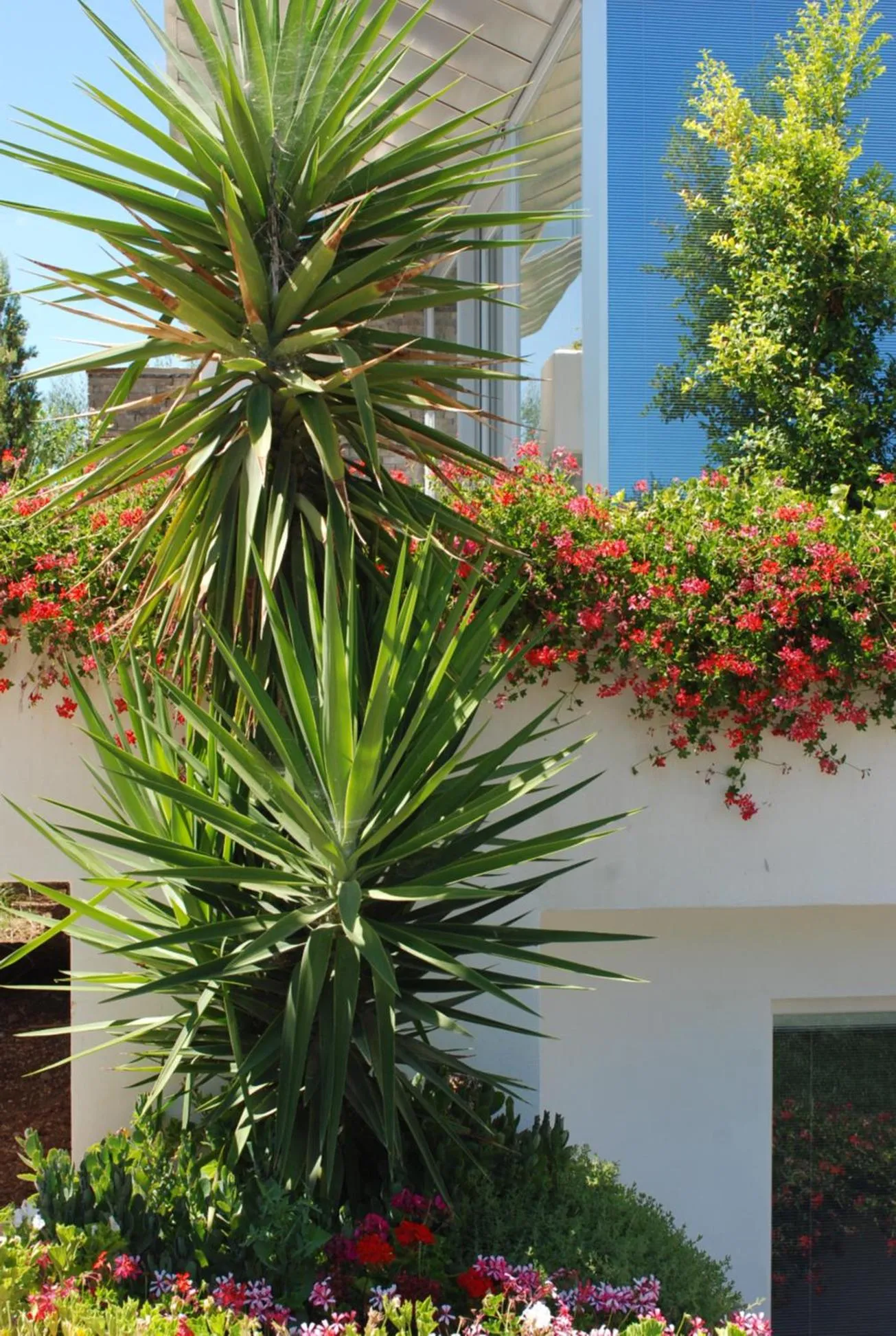 Property building in Hotel Torre Santamaria Resort