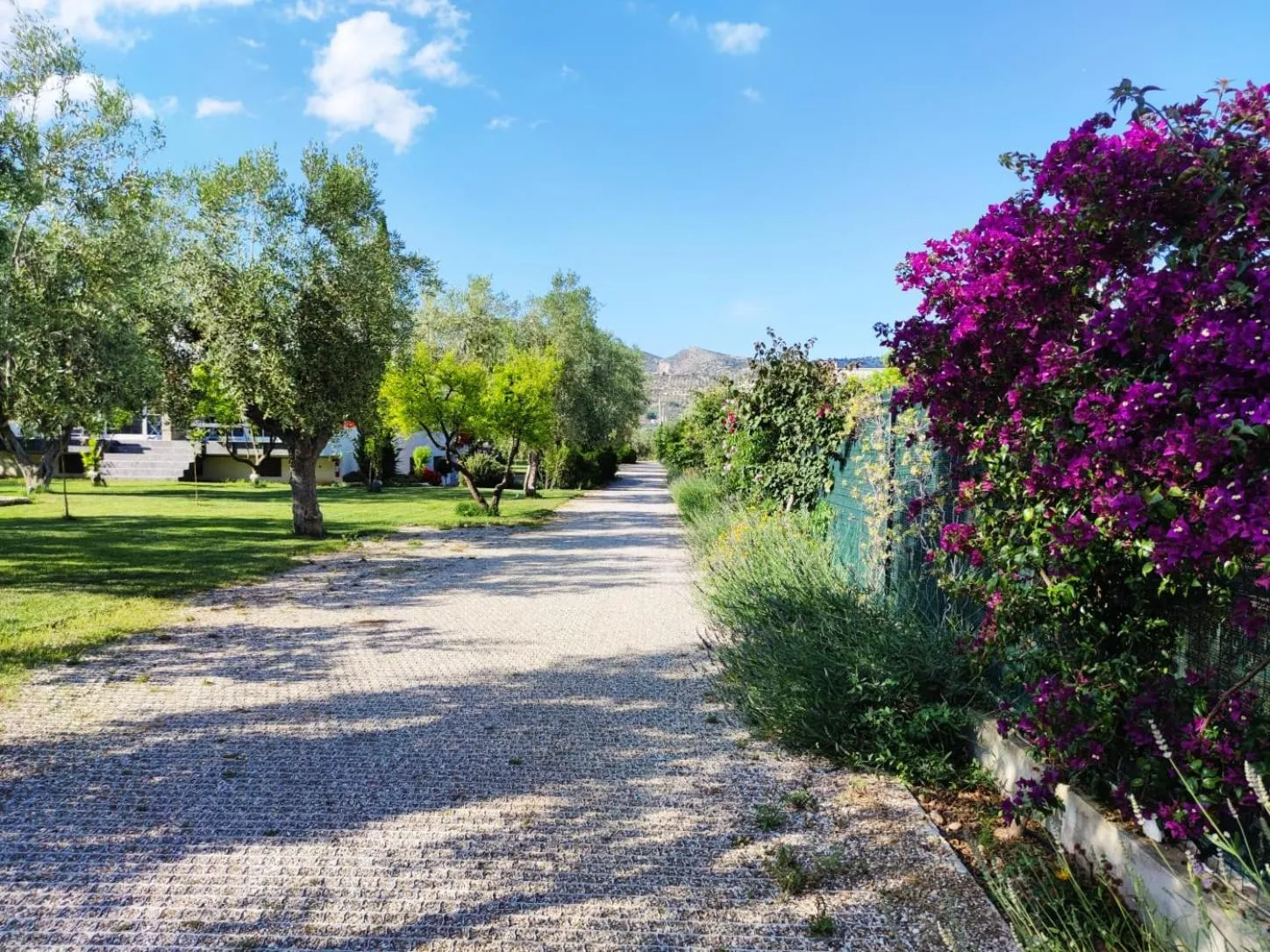 Garden in Hotel Torre Santamaria Resort