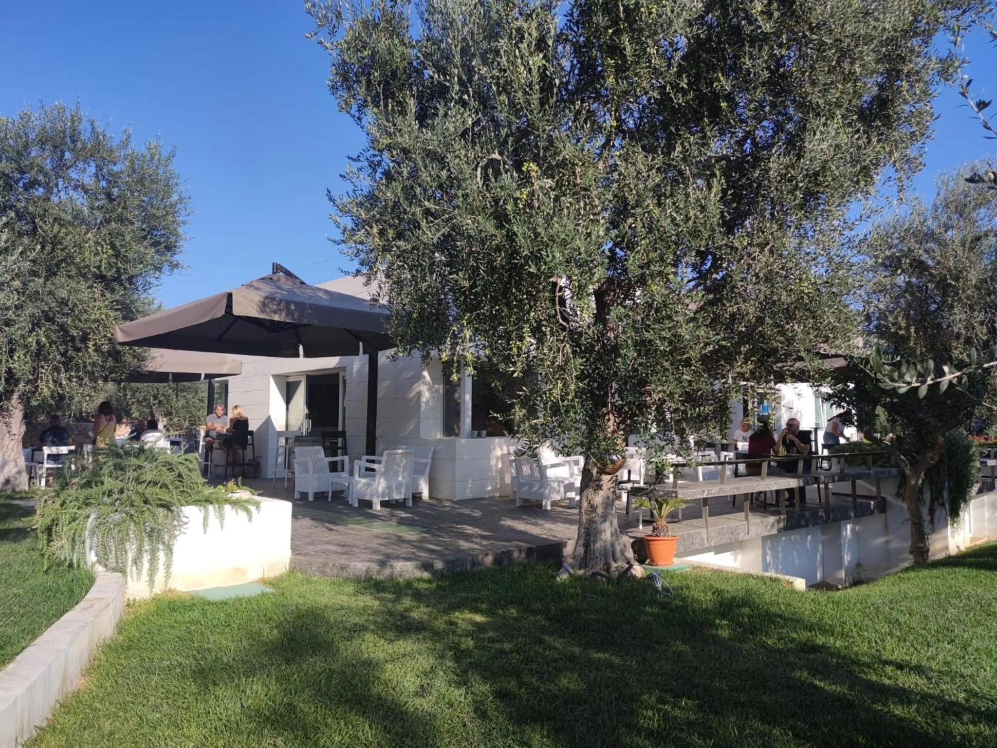 Garden in Hotel Torre Santamaria Resort