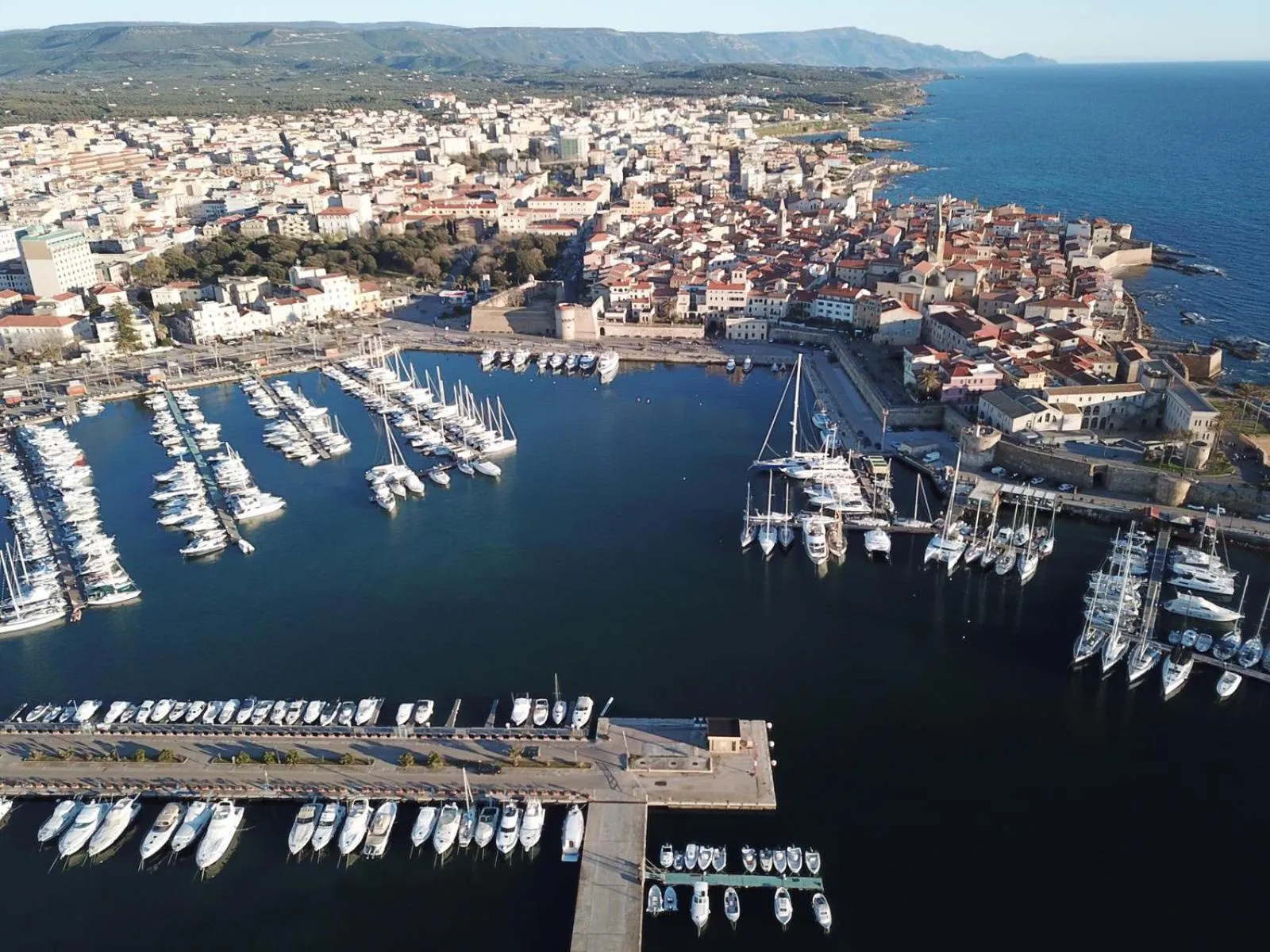 Spring in La Posidonia Oceanica