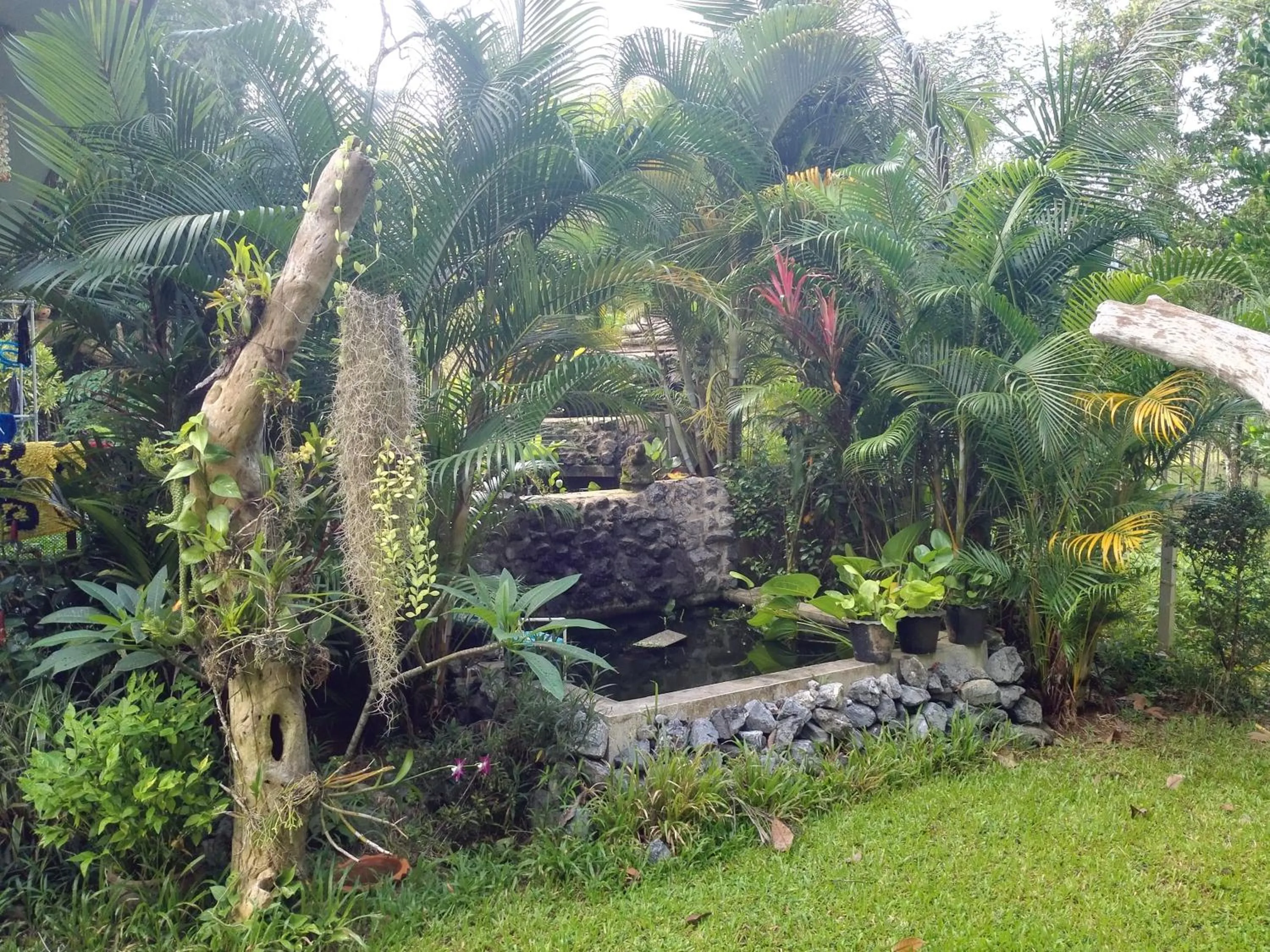 Garden in Nananuira Apartment and Room