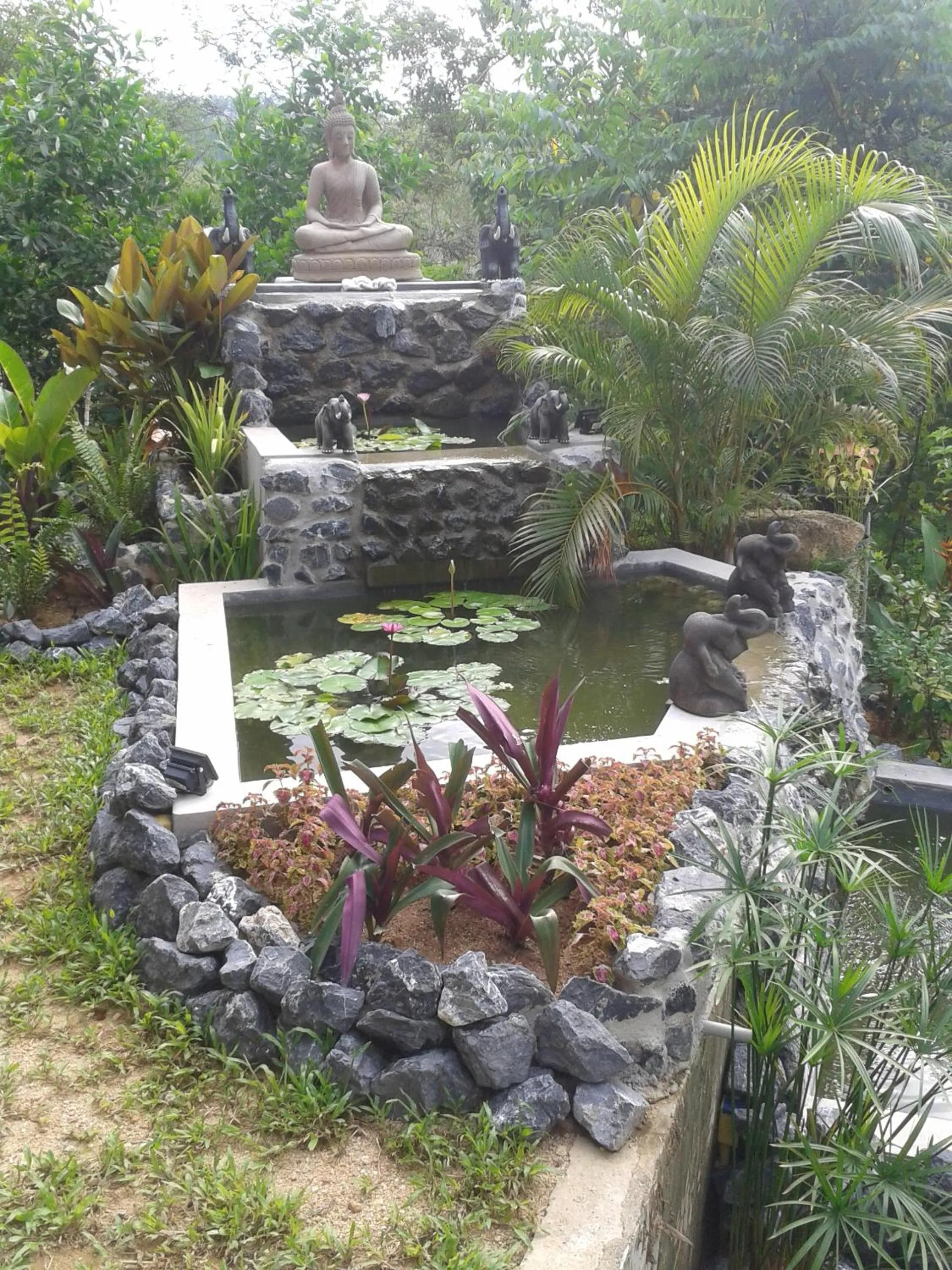 Garden in Nananuira Apartment and Room