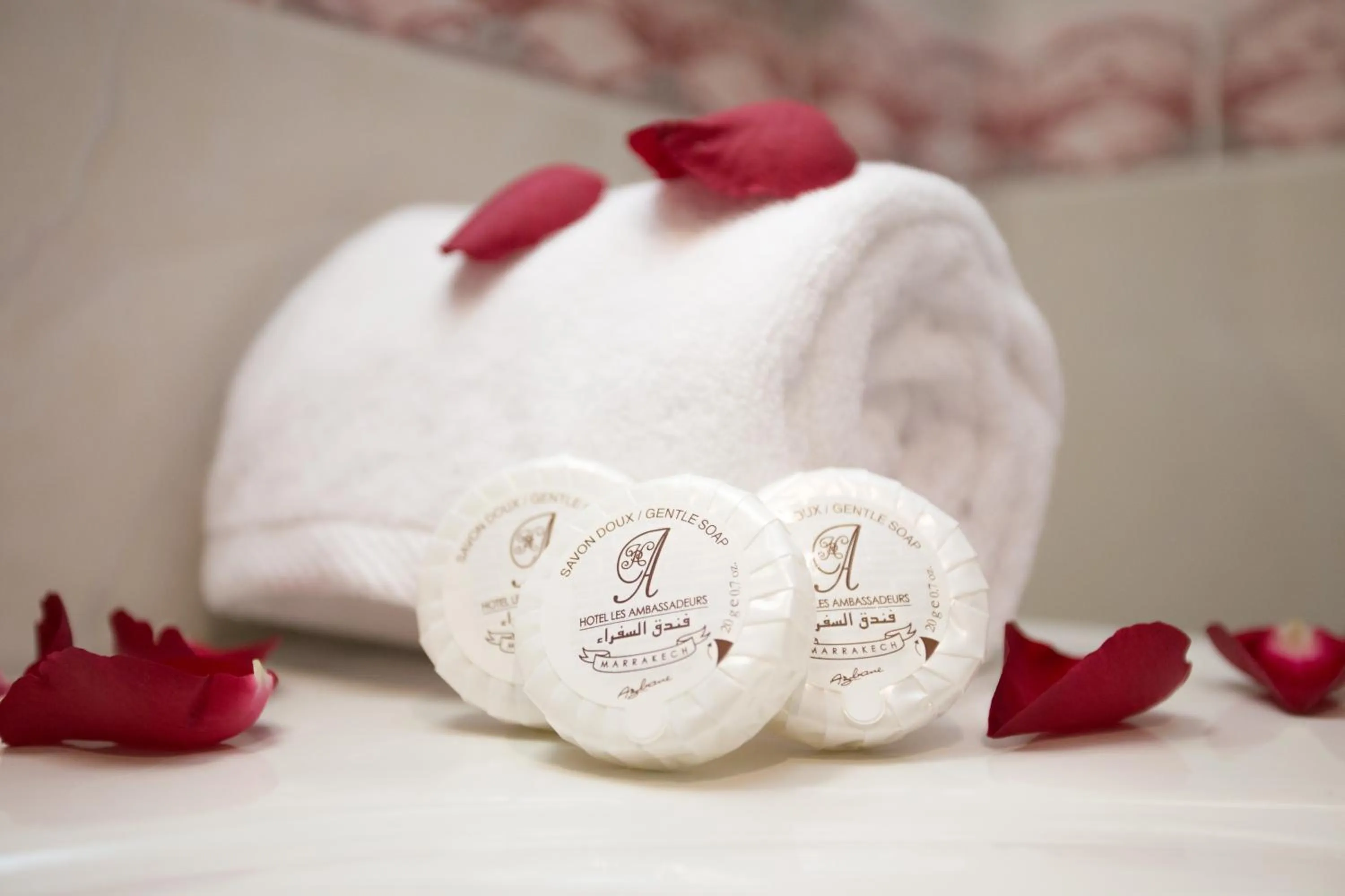 Area and facilities, Spa/Wellness in Appart Hotel Les Ambassadeurs