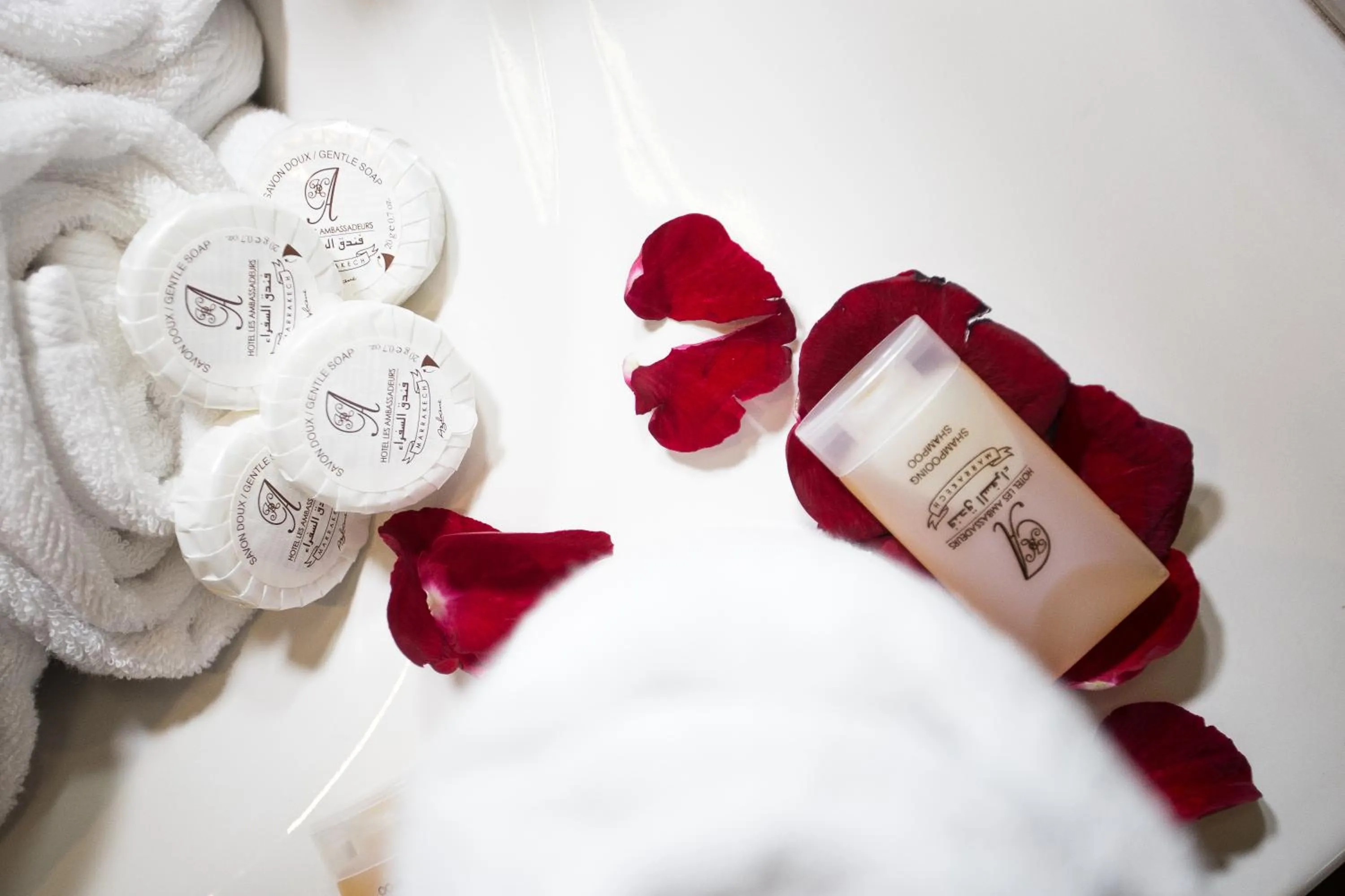 Area and facilities in Appart Hotel Les Ambassadeurs