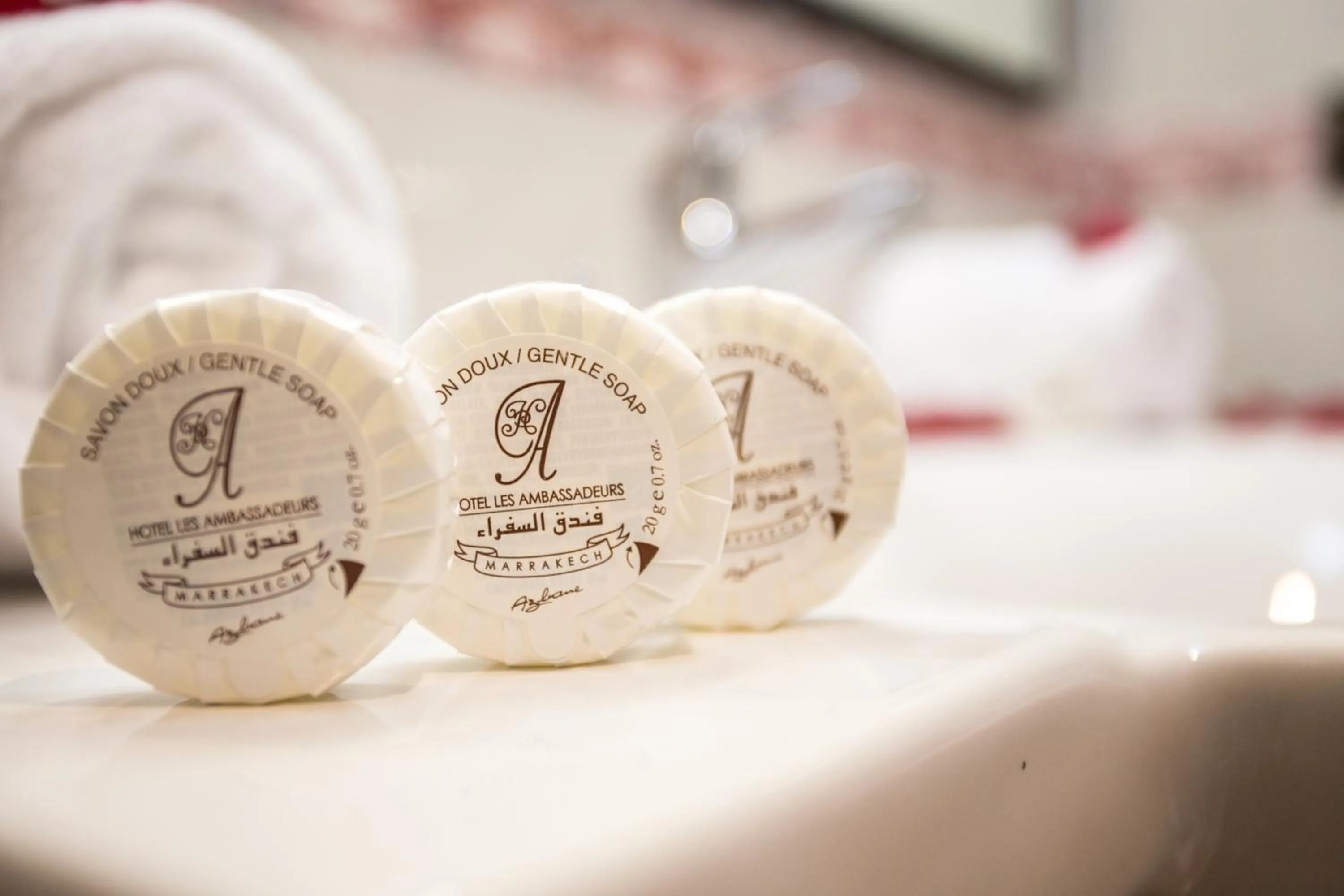 Area and facilities in Appart Hotel Les Ambassadeurs