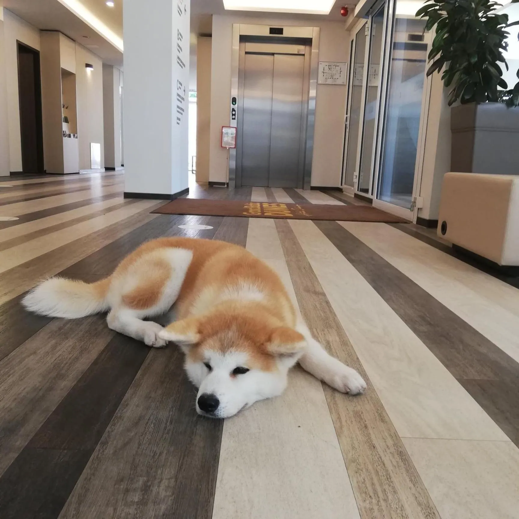 Lobby or reception in Grand Baltic Dunes Hotel & SPA