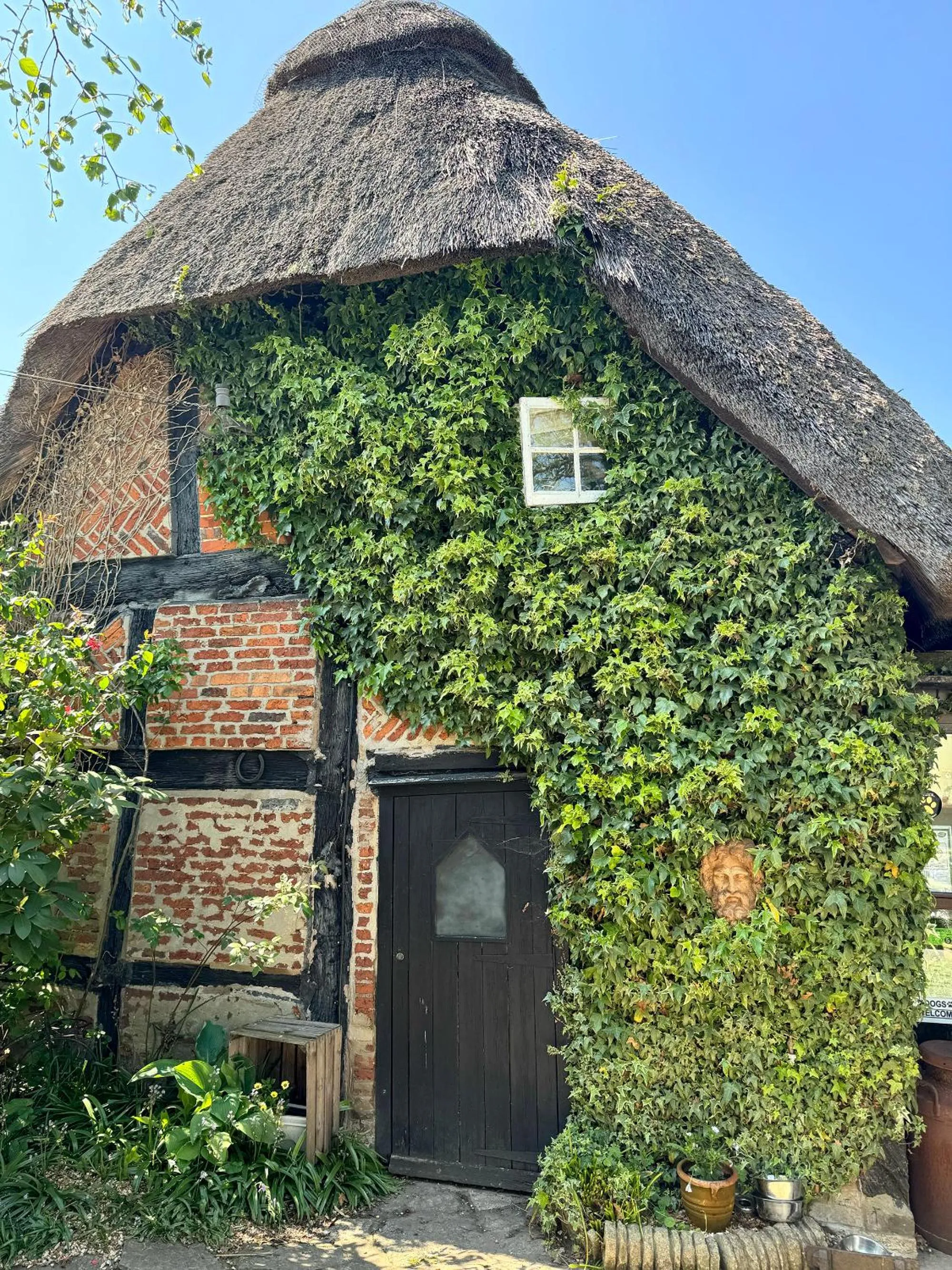 Thatched Cottage Hotel