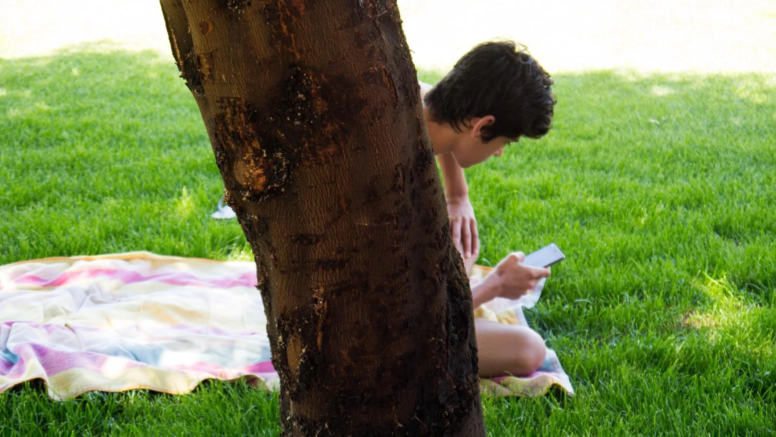 Property building in Casa d´Edite