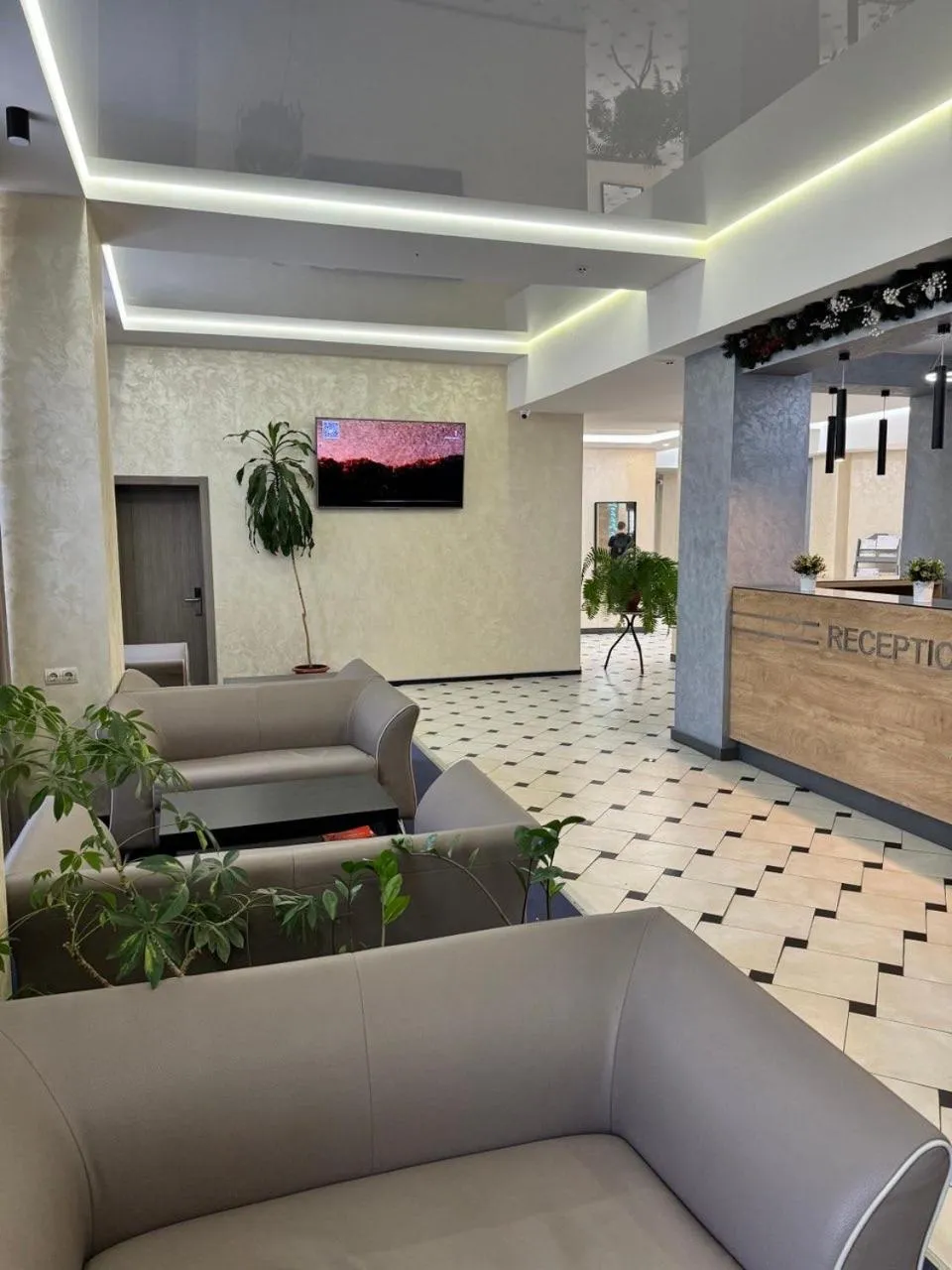 TV and multimedia in Hotel Druzhba