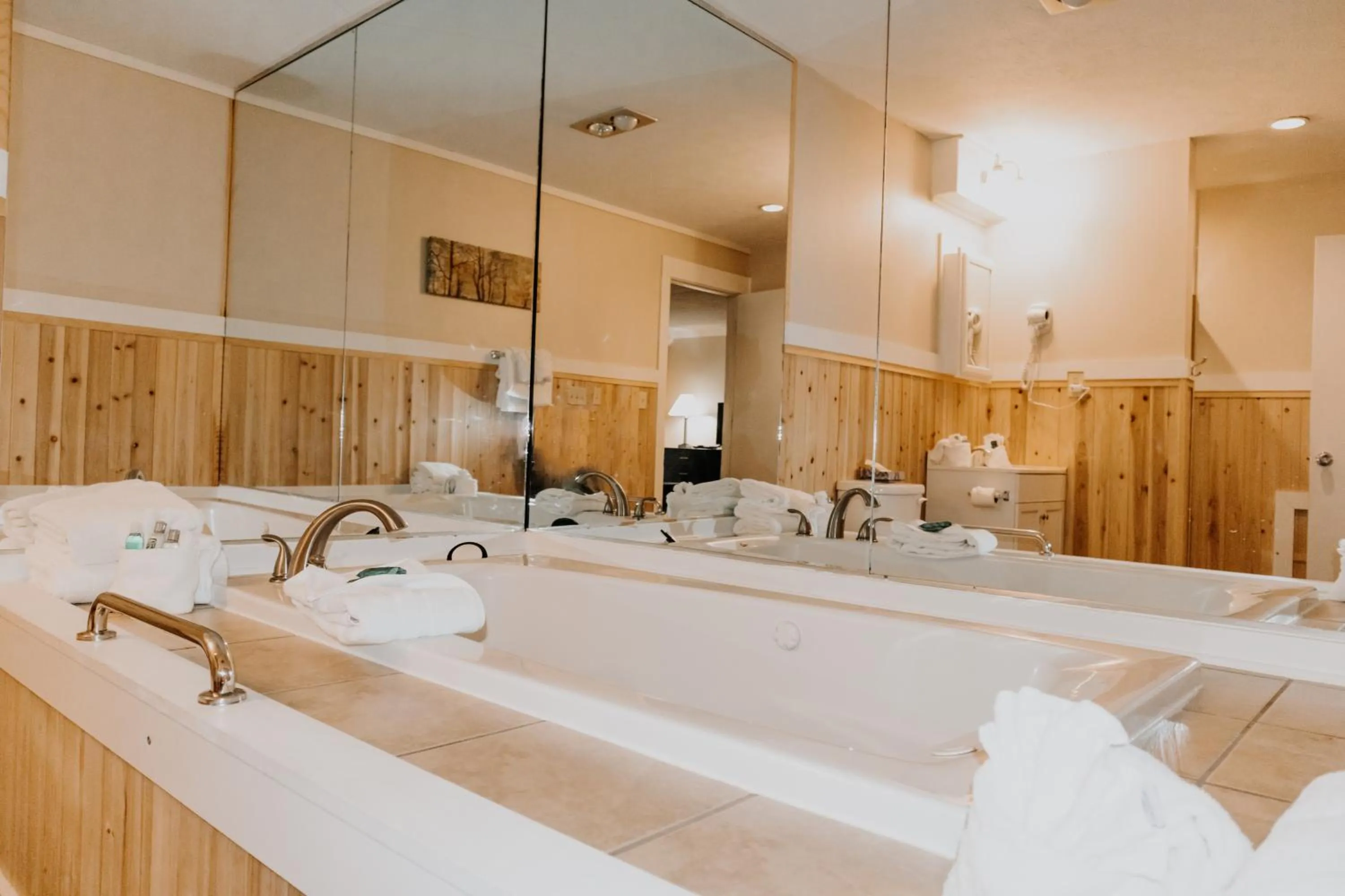Bathroom in Carriage House Country Club