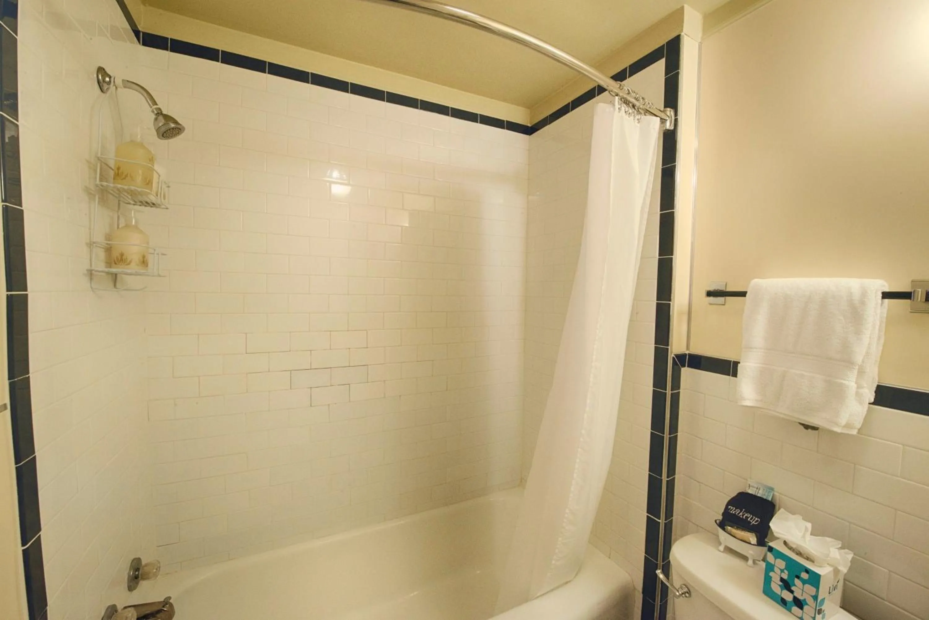 Shower in Historic Tapoco Lodge Resort