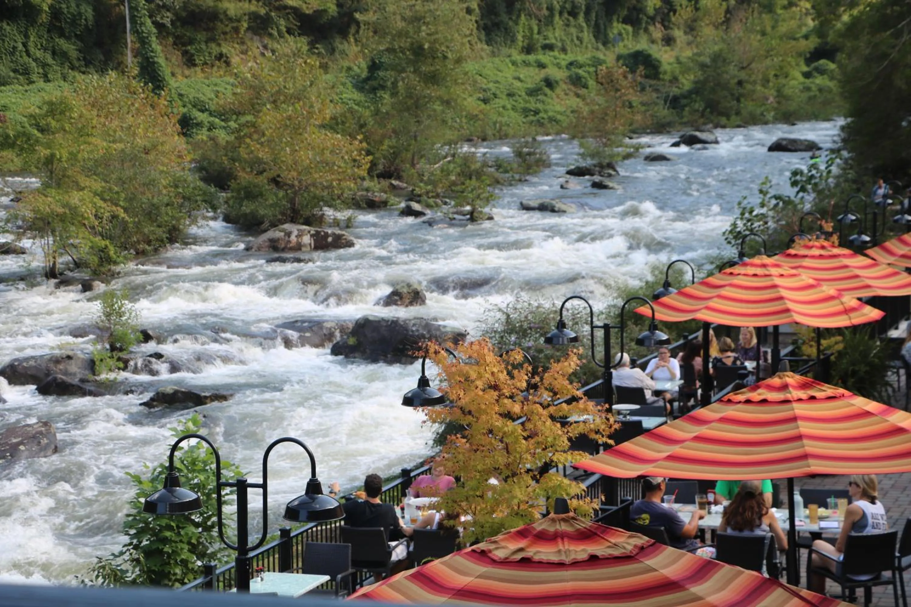 Restaurant/places to eat in Historic Tapoco Lodge Resort
