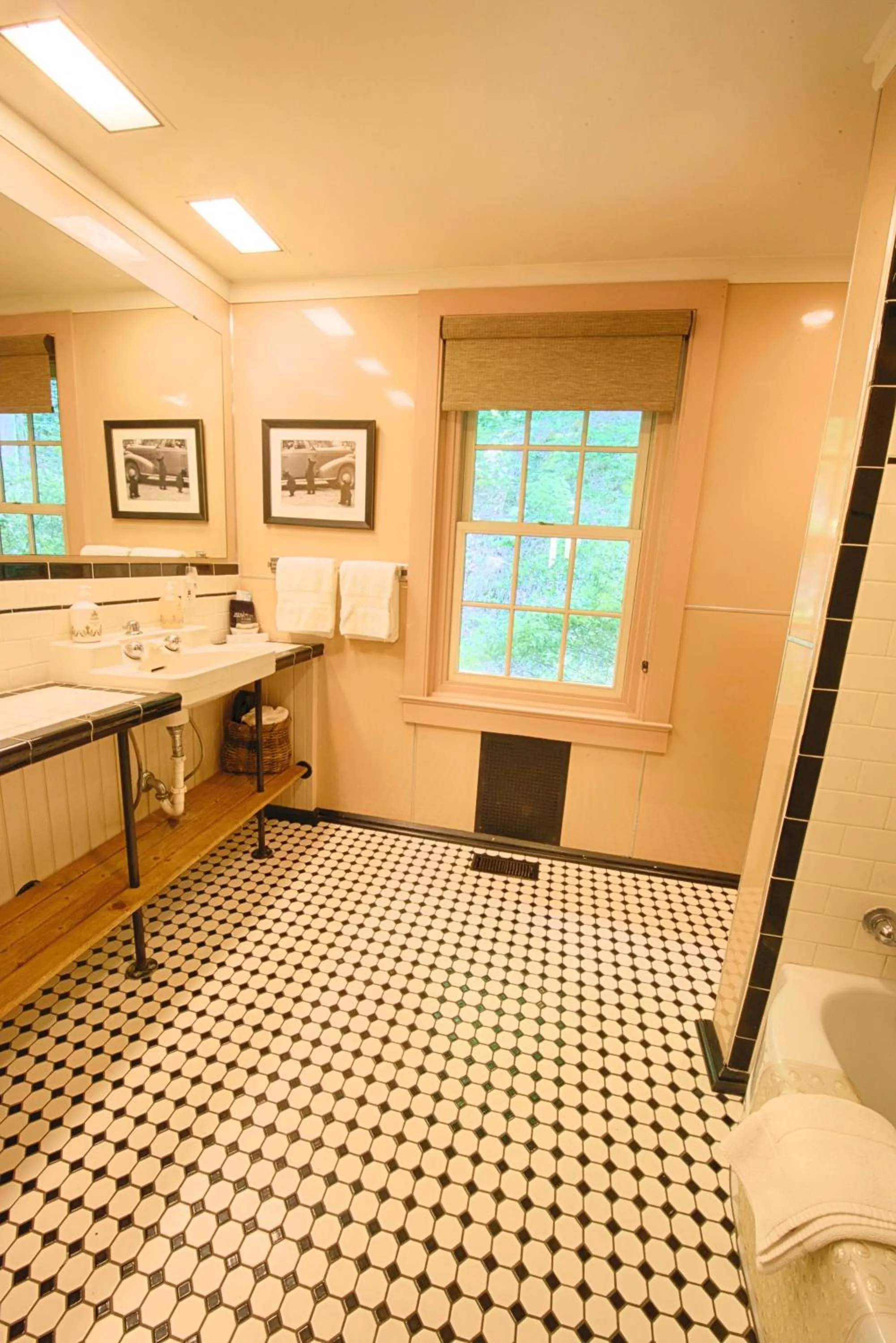 Shower in Historic Tapoco Lodge Resort