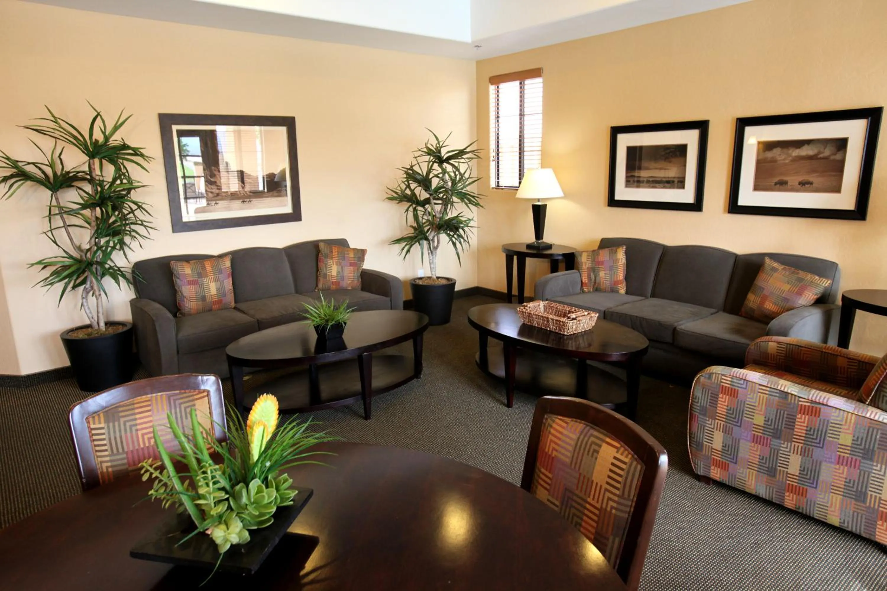 Communal lounge/ TV room in Highlands Resort at Verde Ridge