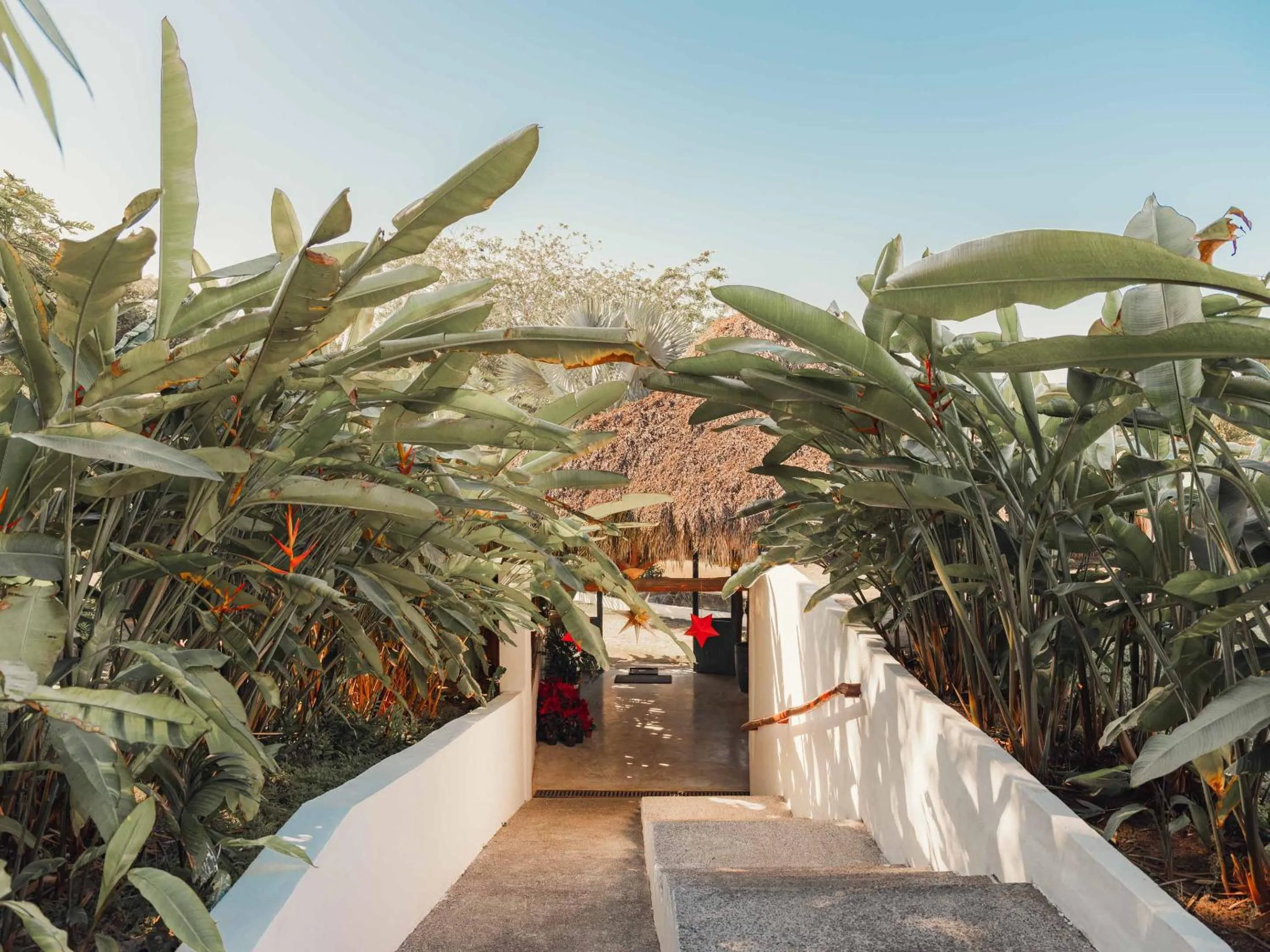 Lobby or reception in Maraica San Pancho Rooms