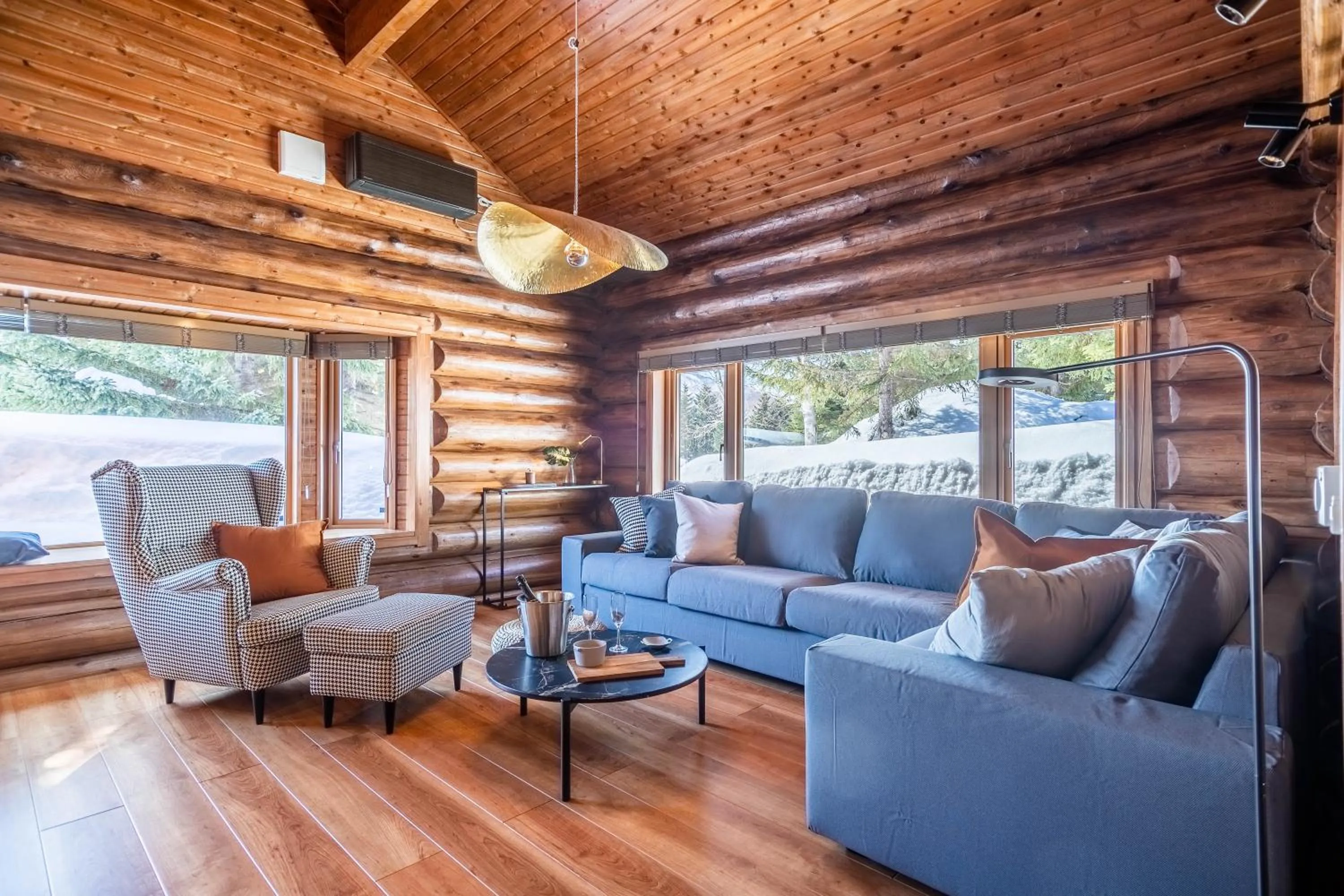 Living room in Villa Rusutsu