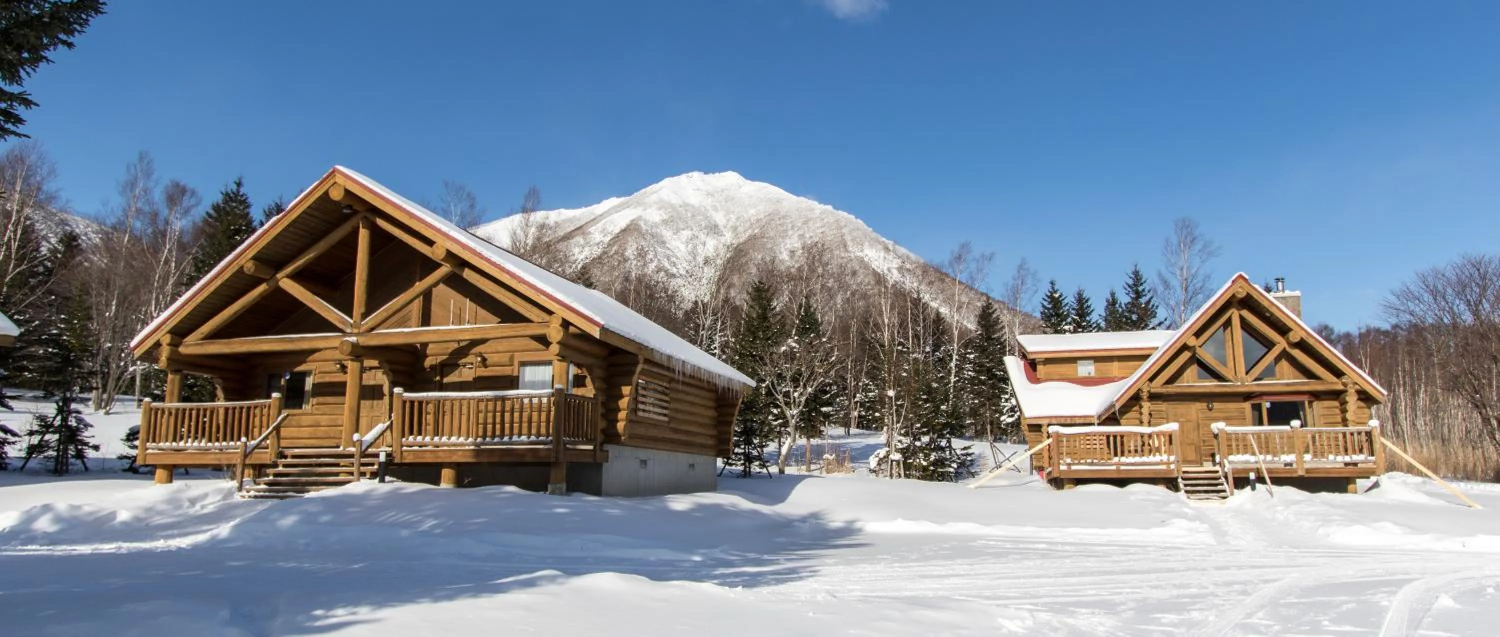 Property building in Villa Rusutsu