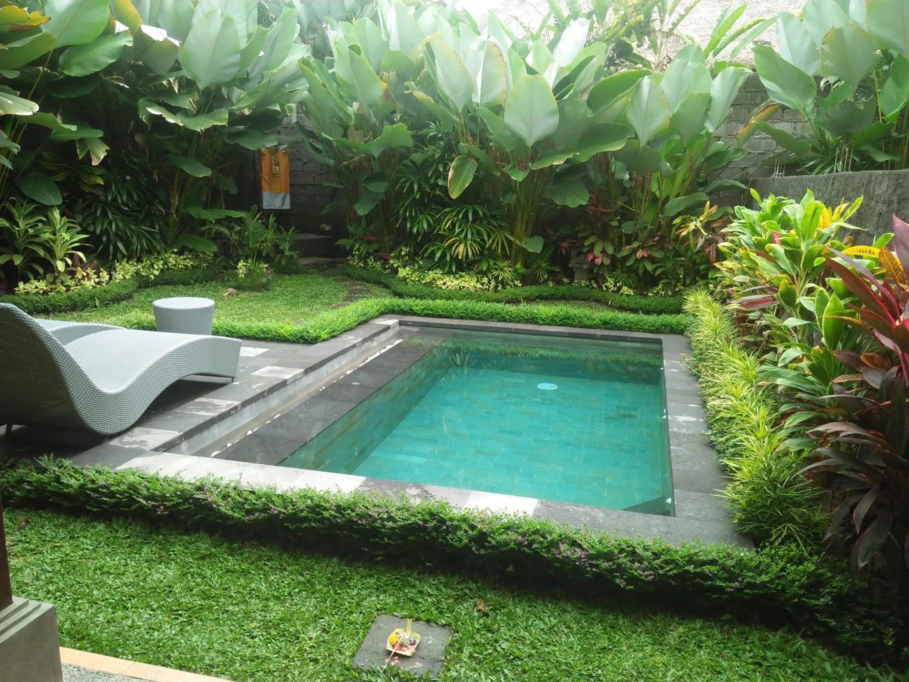 Swimming pool in Dedik House