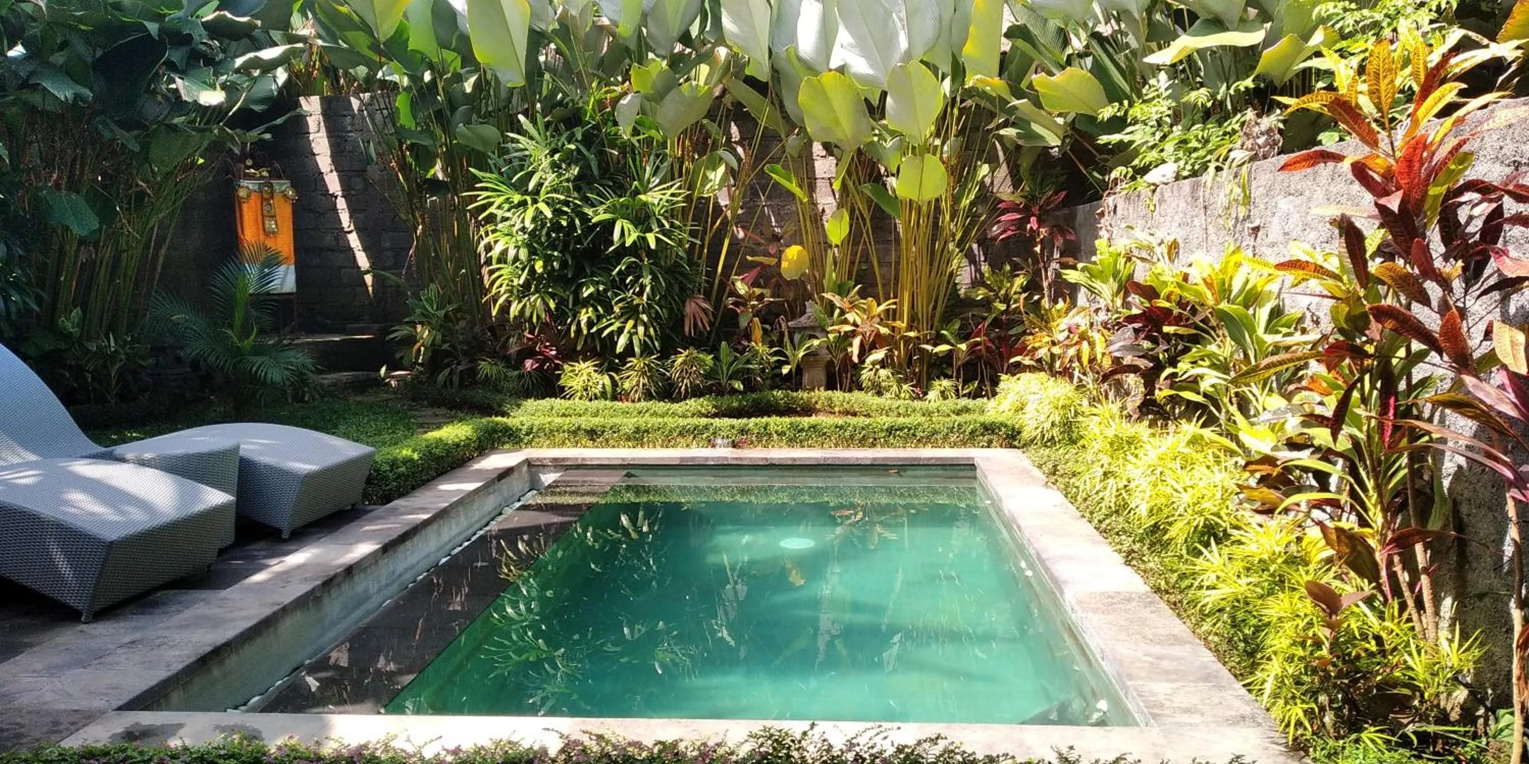 Pool view in Dedik House